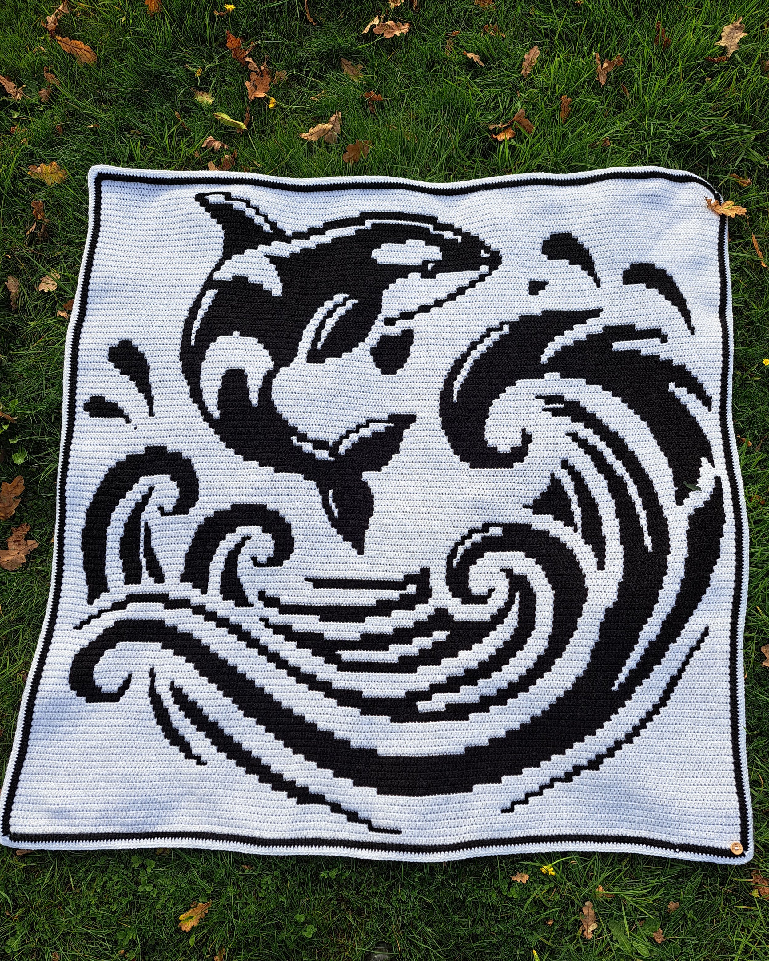 20251019_144046 copy.jpg