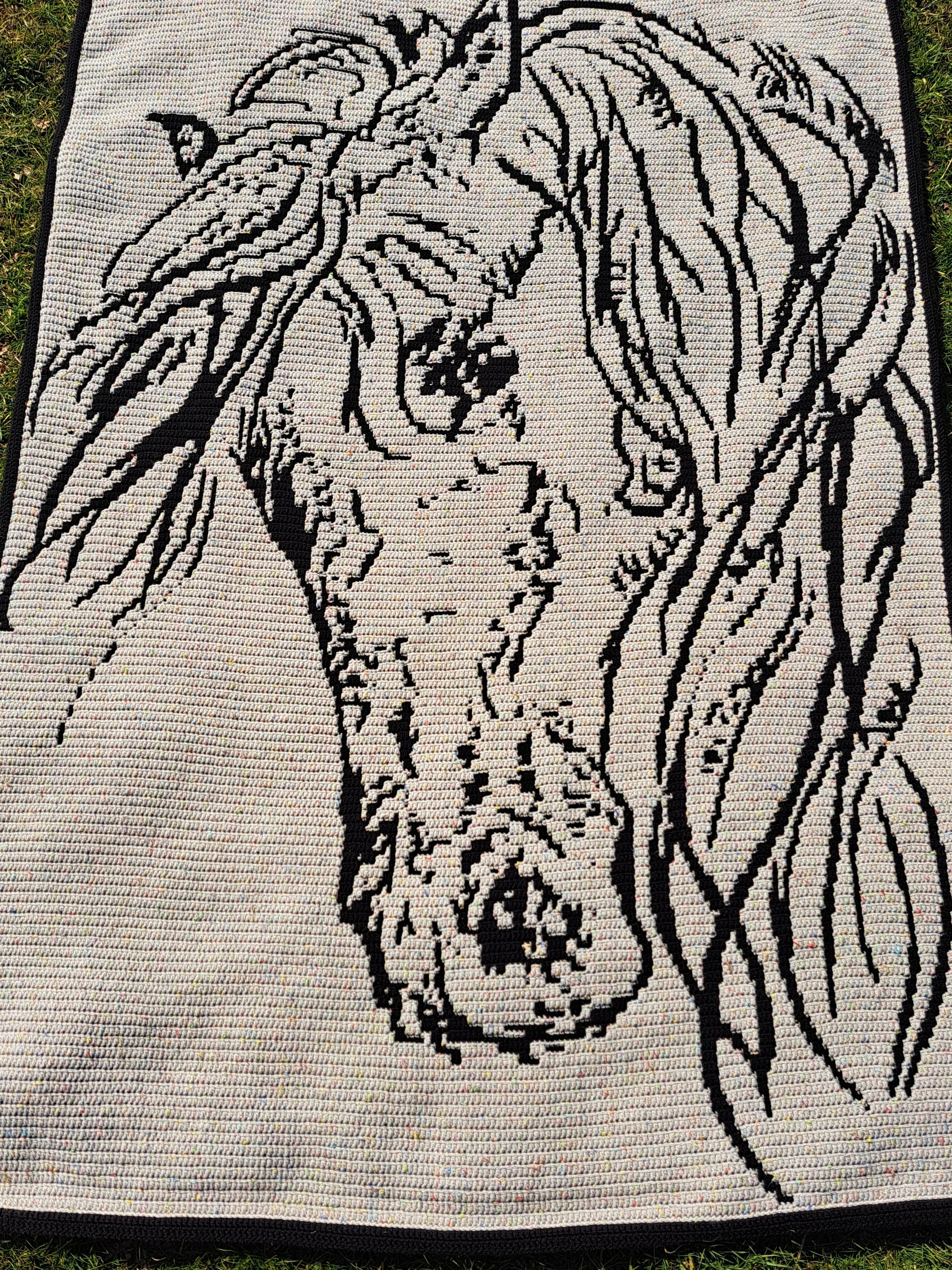 20250320_130111.jpg
