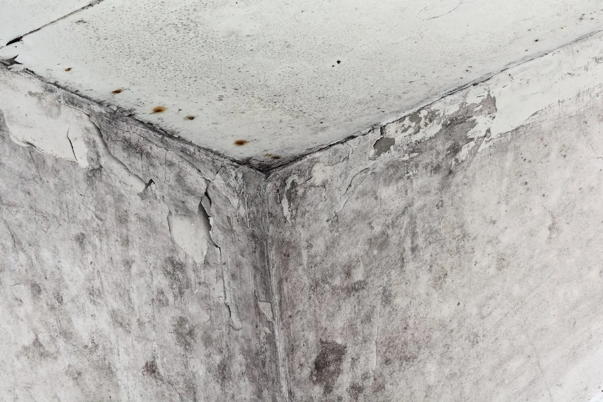 Eine Ecke mit abblätternder Wand und sichtbarer Feuchtigkeit.