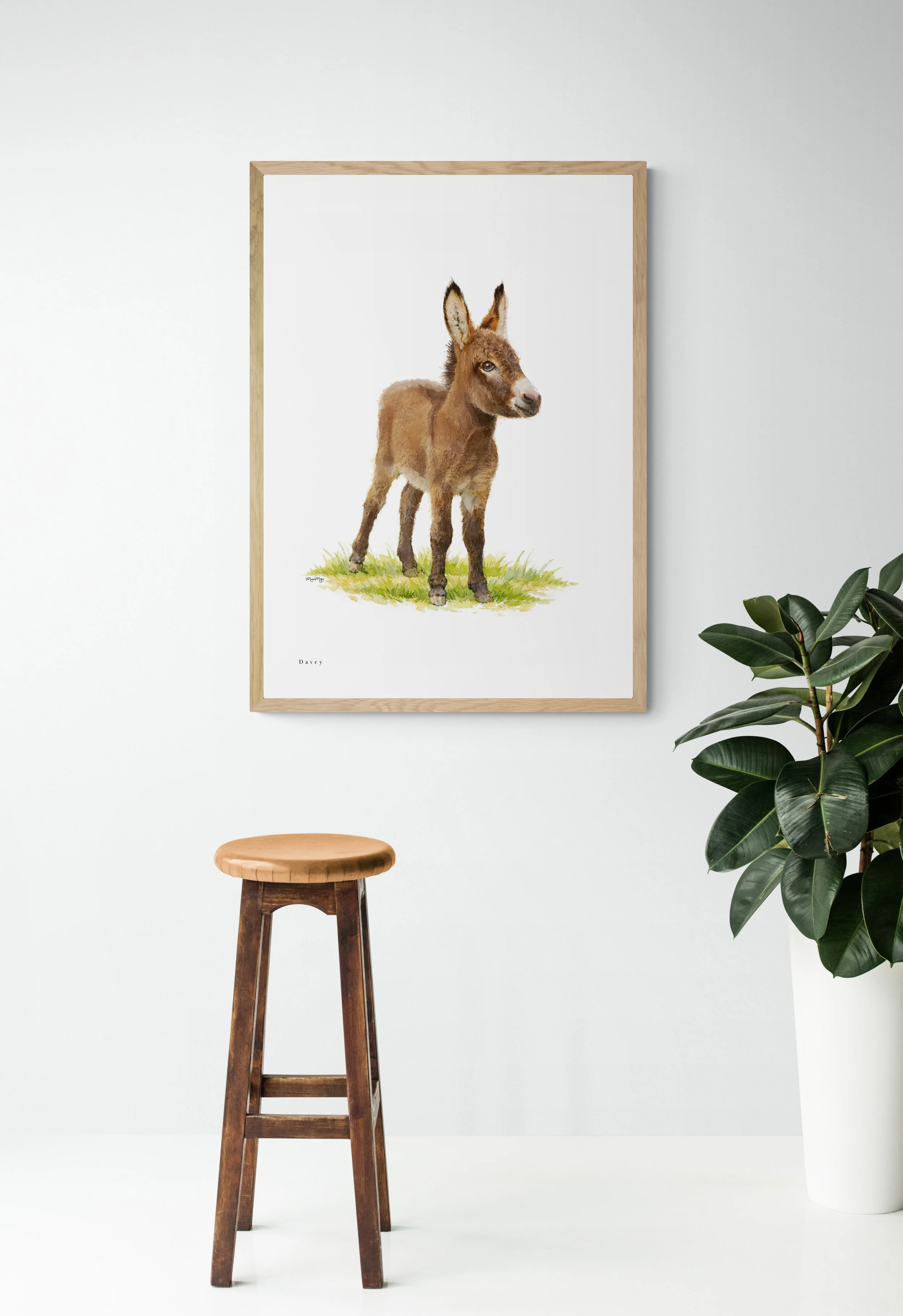 Davey Donkey - Figtree Farm