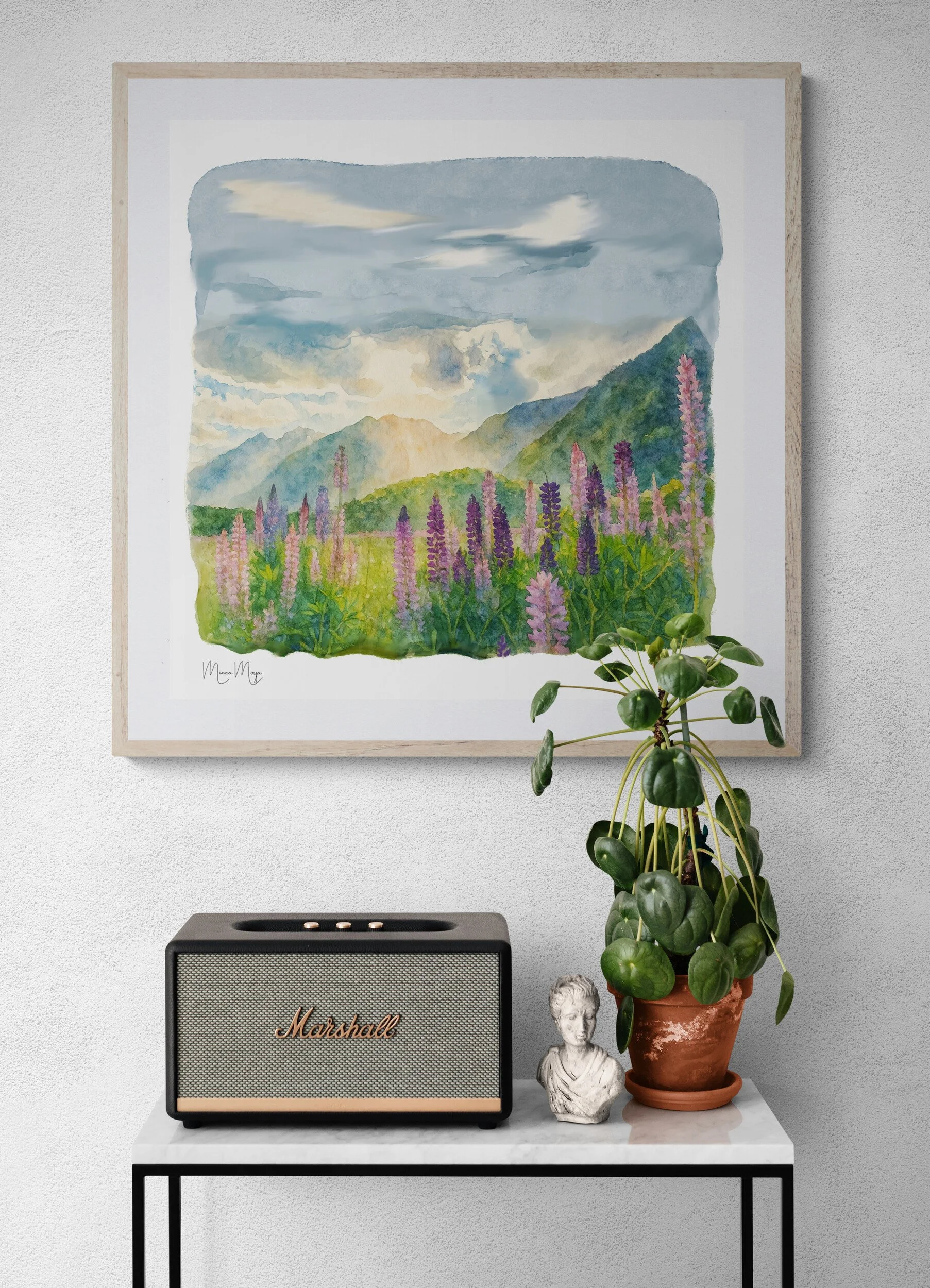 Lupin Field - Lake Tekapo