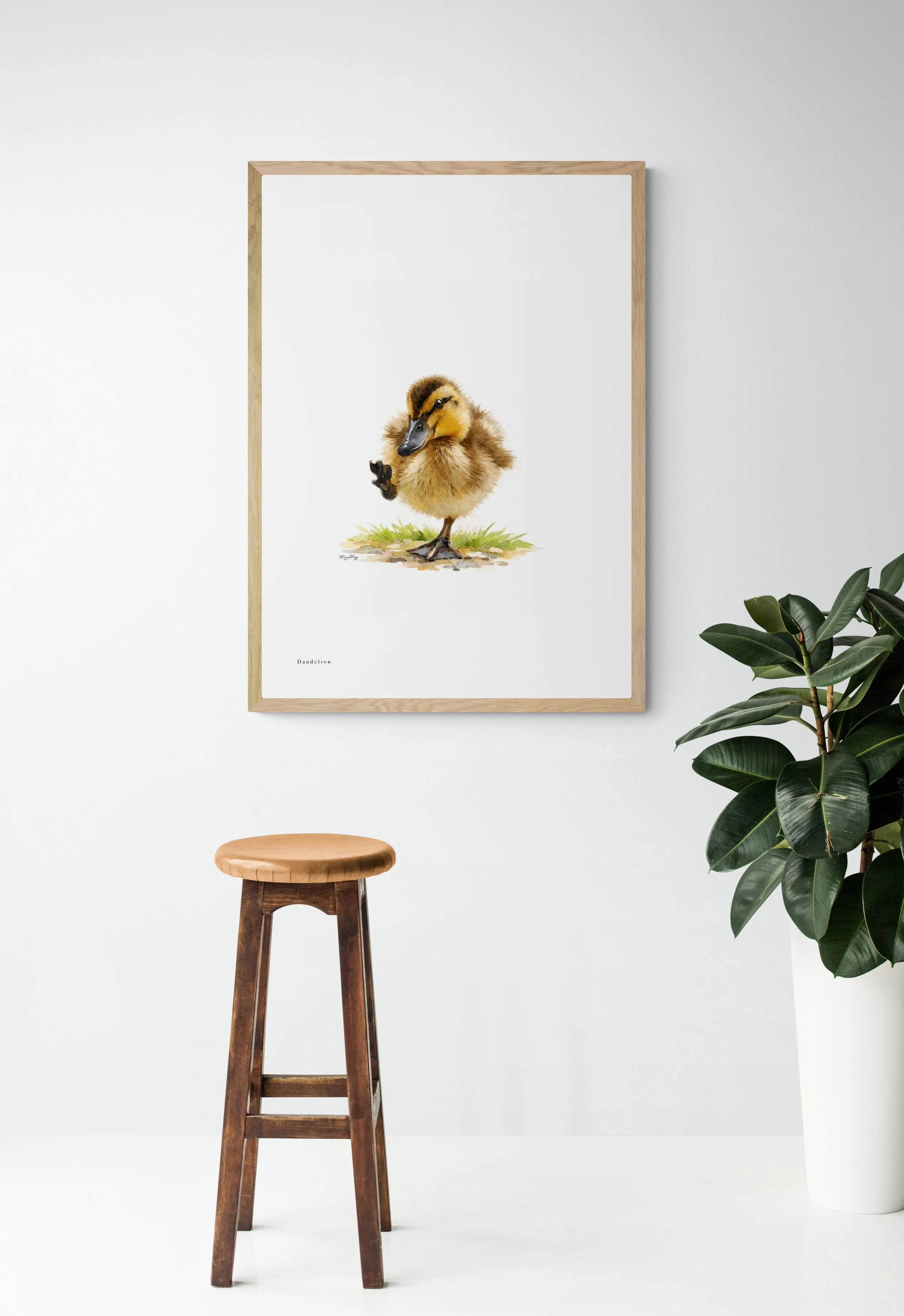 Dandelion Duckling - Figtree Farm