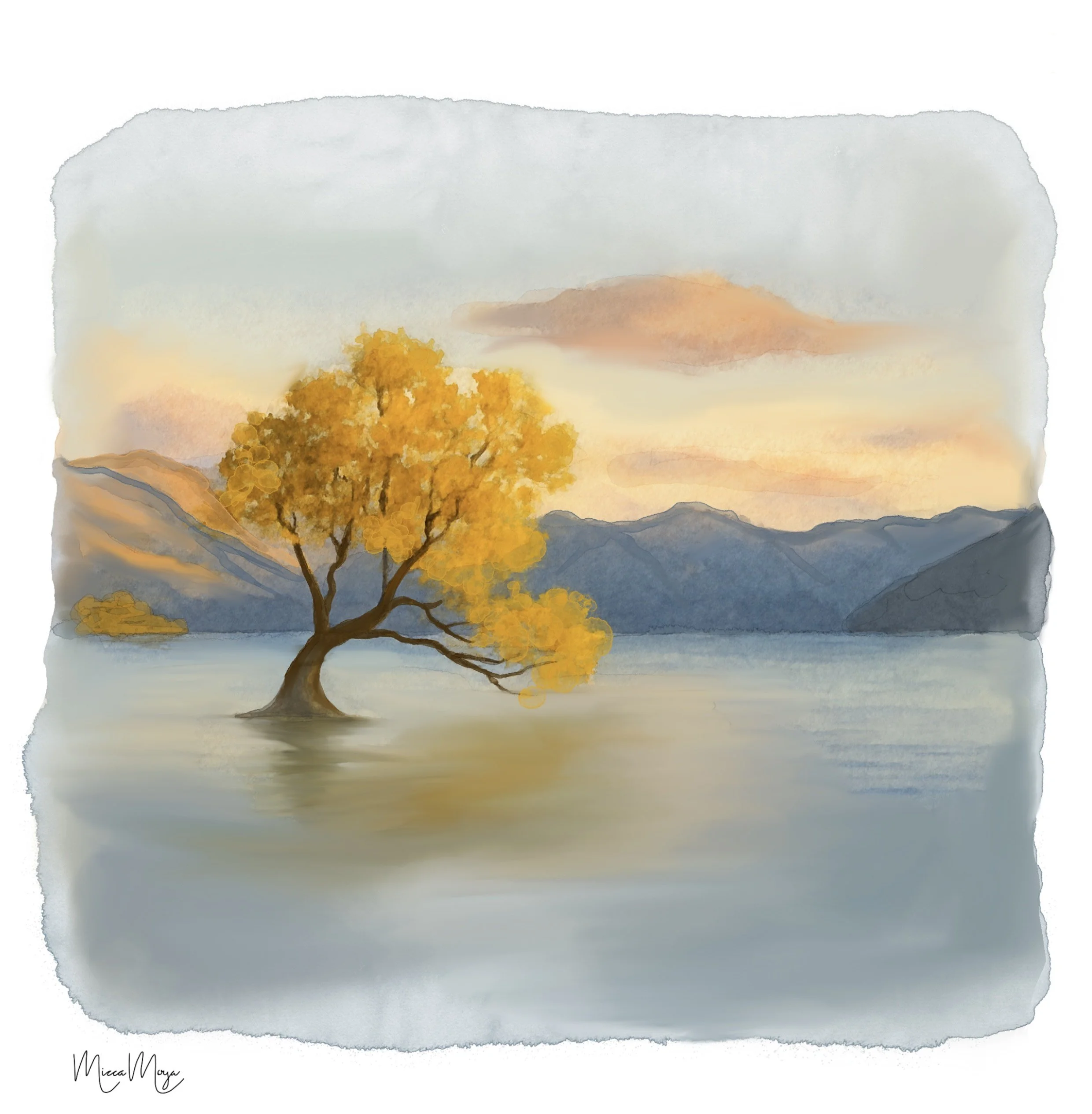 Wanaka Tree
