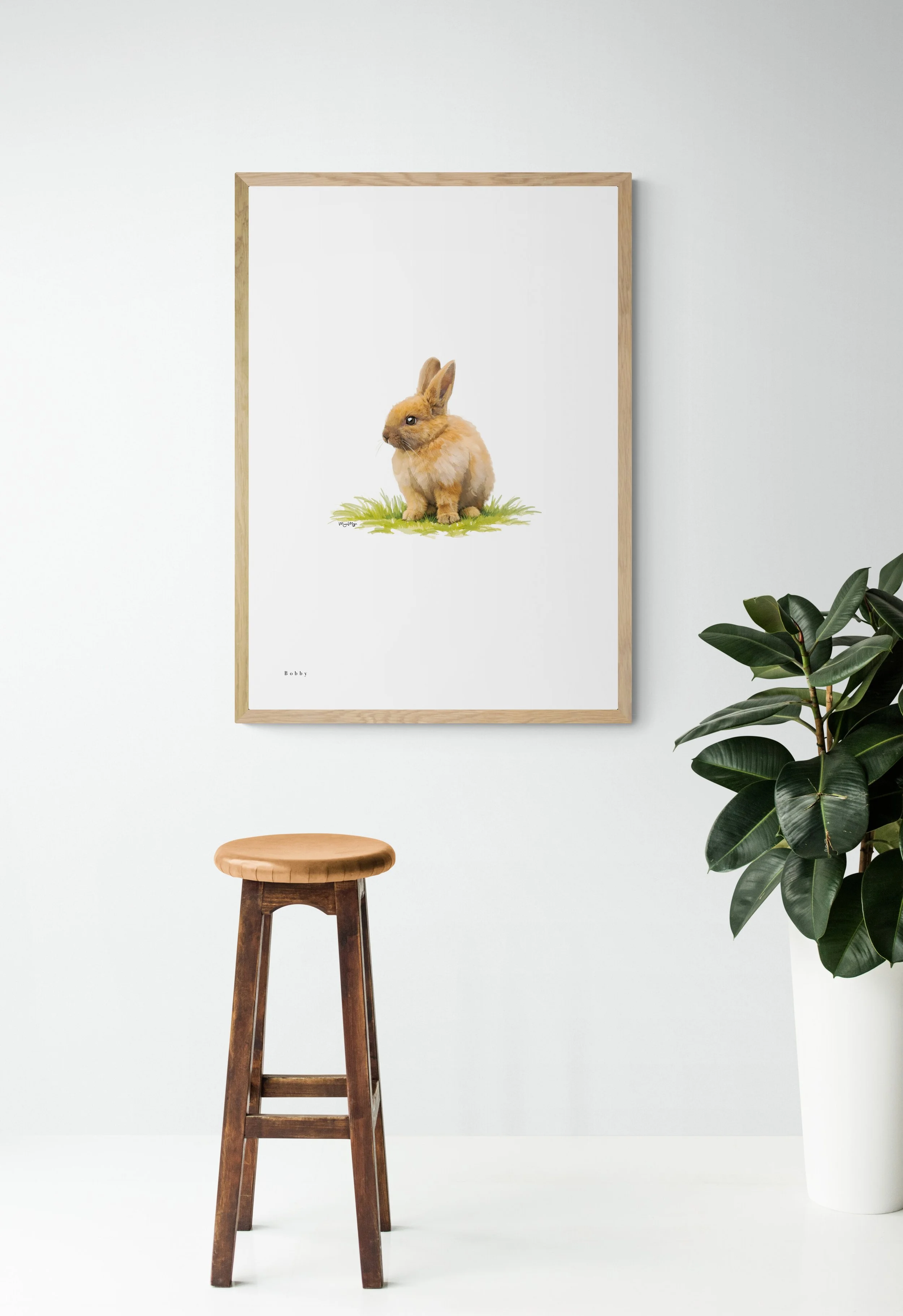 Bobby Bunny - Figtree Farm