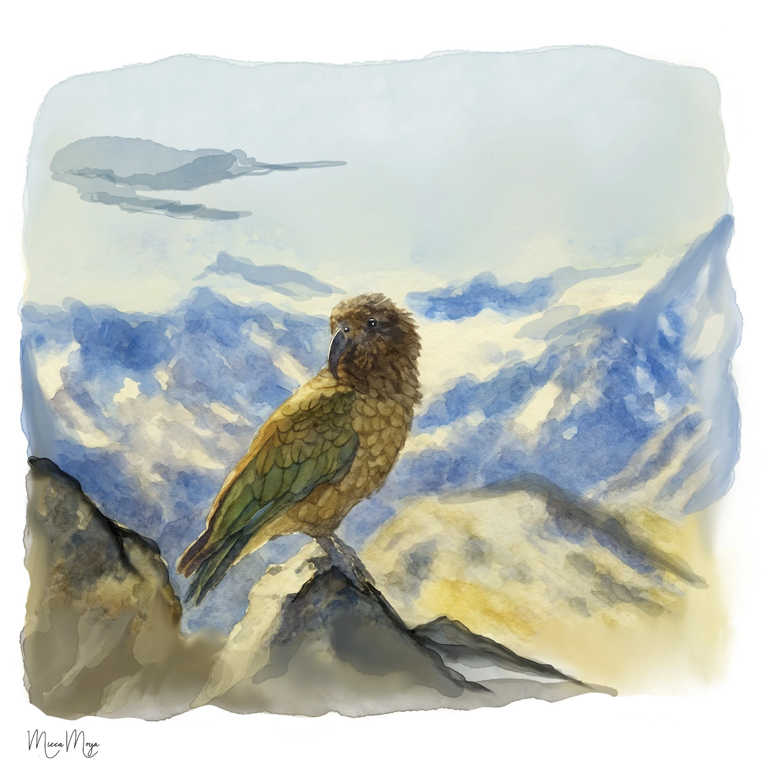 Kea - Authers pass