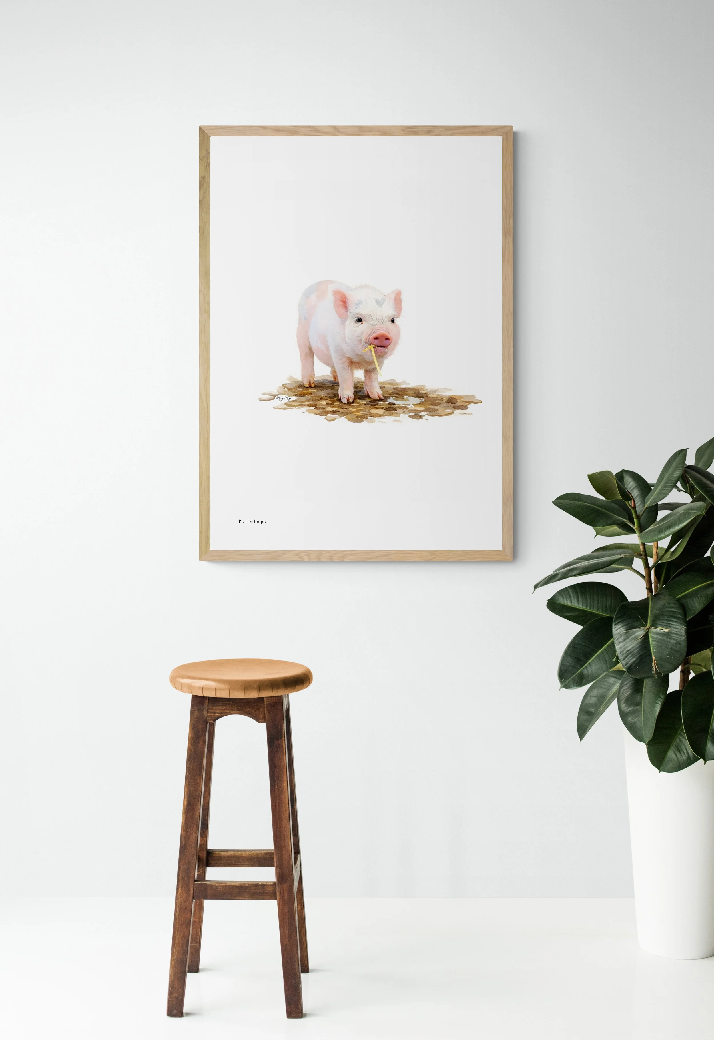 Penelope Pig - Figtree Farm