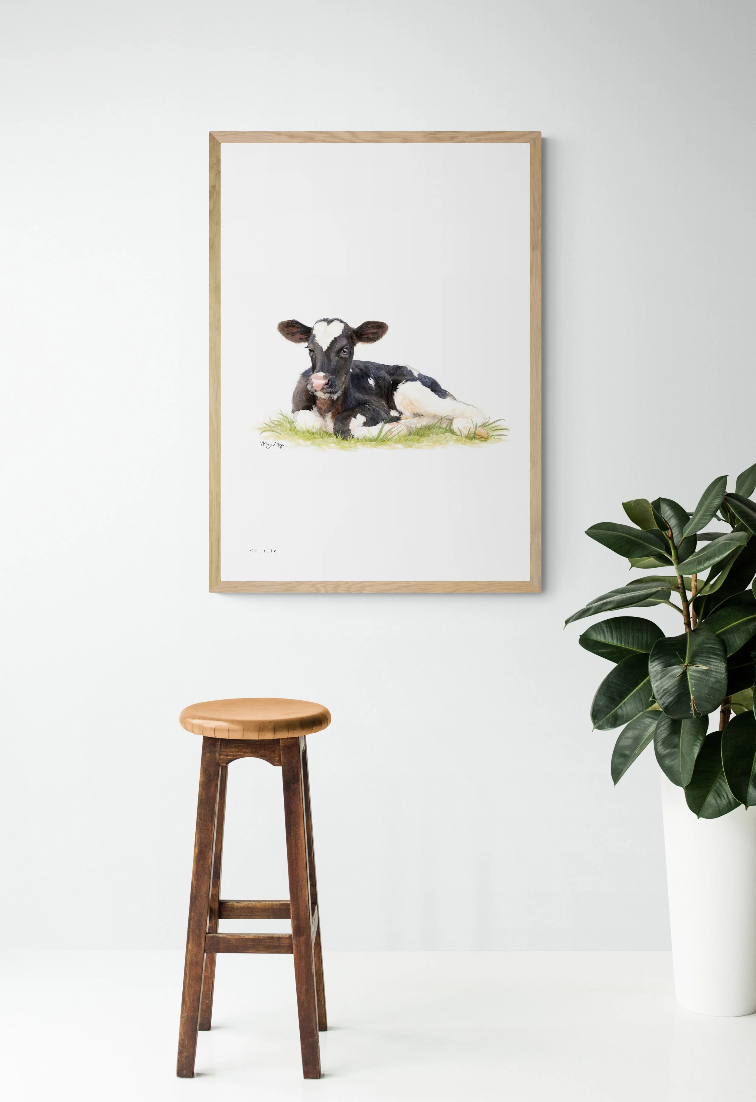 Charlie cow - Figtree Farm