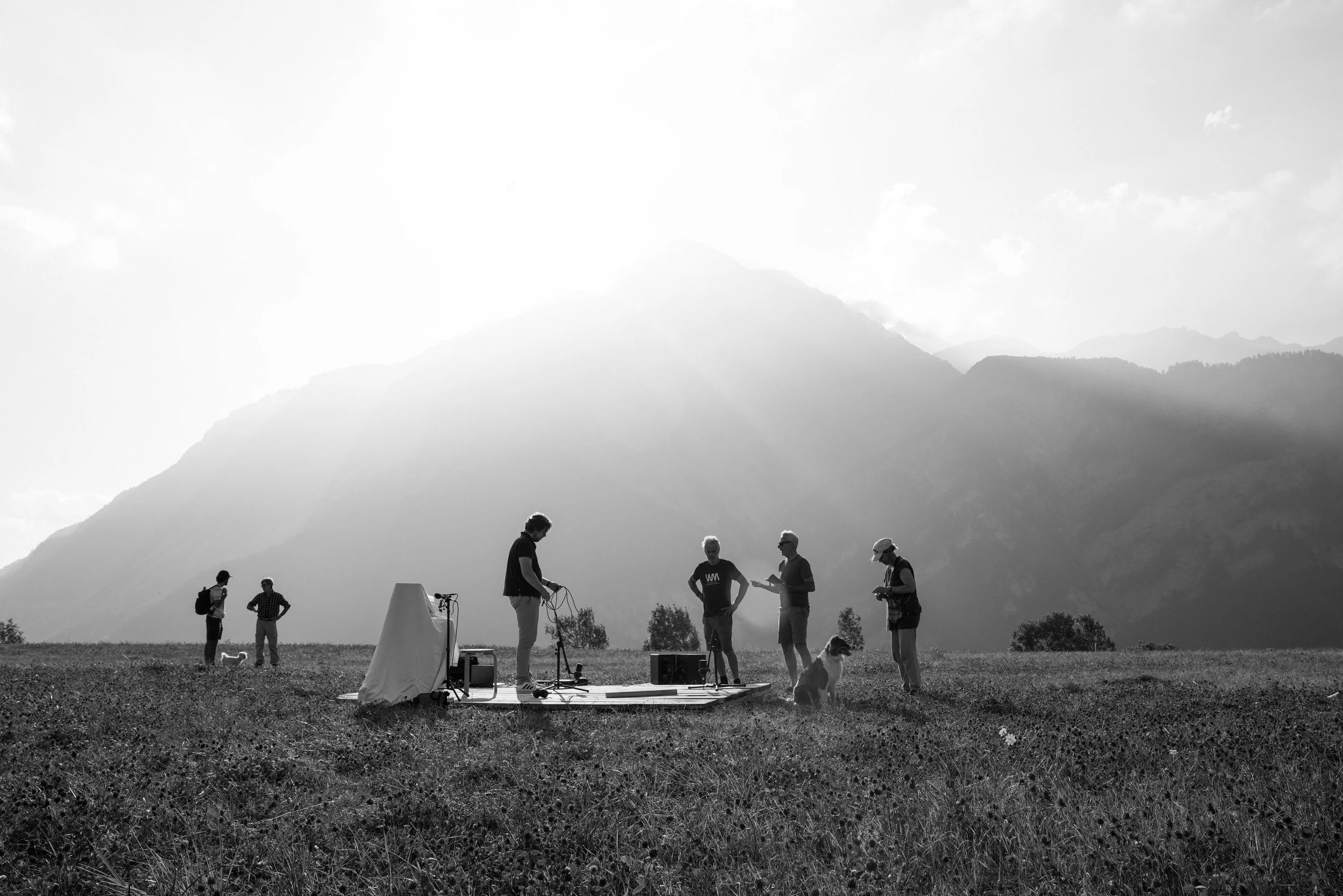 DPDS_FOR WEBSITE_BW-01.jpg