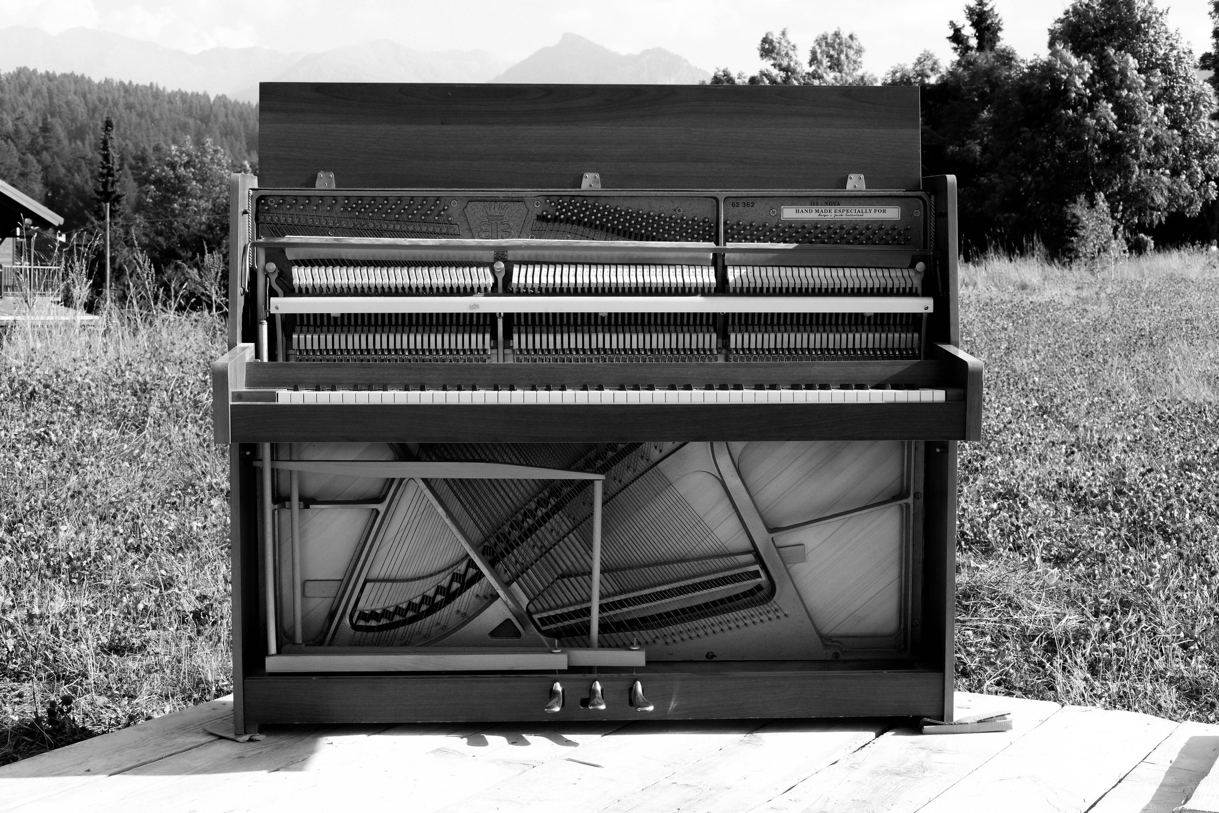 DPDS_FOR WEBSITE_BW-04.jpg