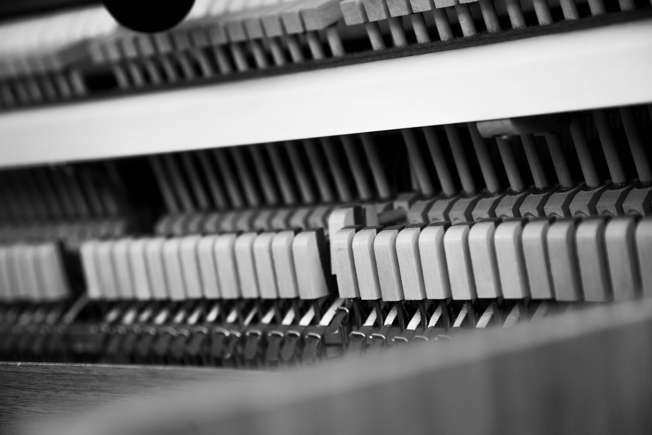 DPDS_FOR WEBSITE_BW-05.jpg