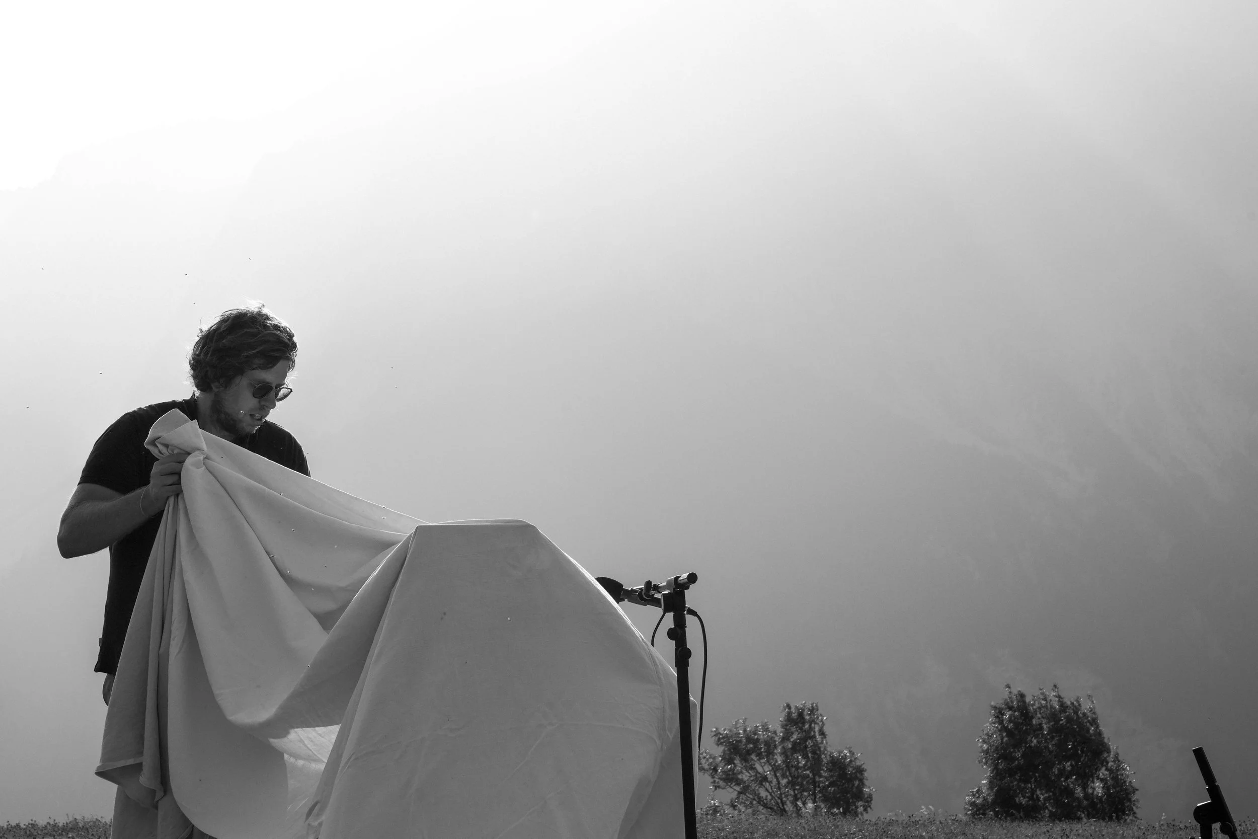 DPDS_FOR WEBSITE_BW-02.jpg