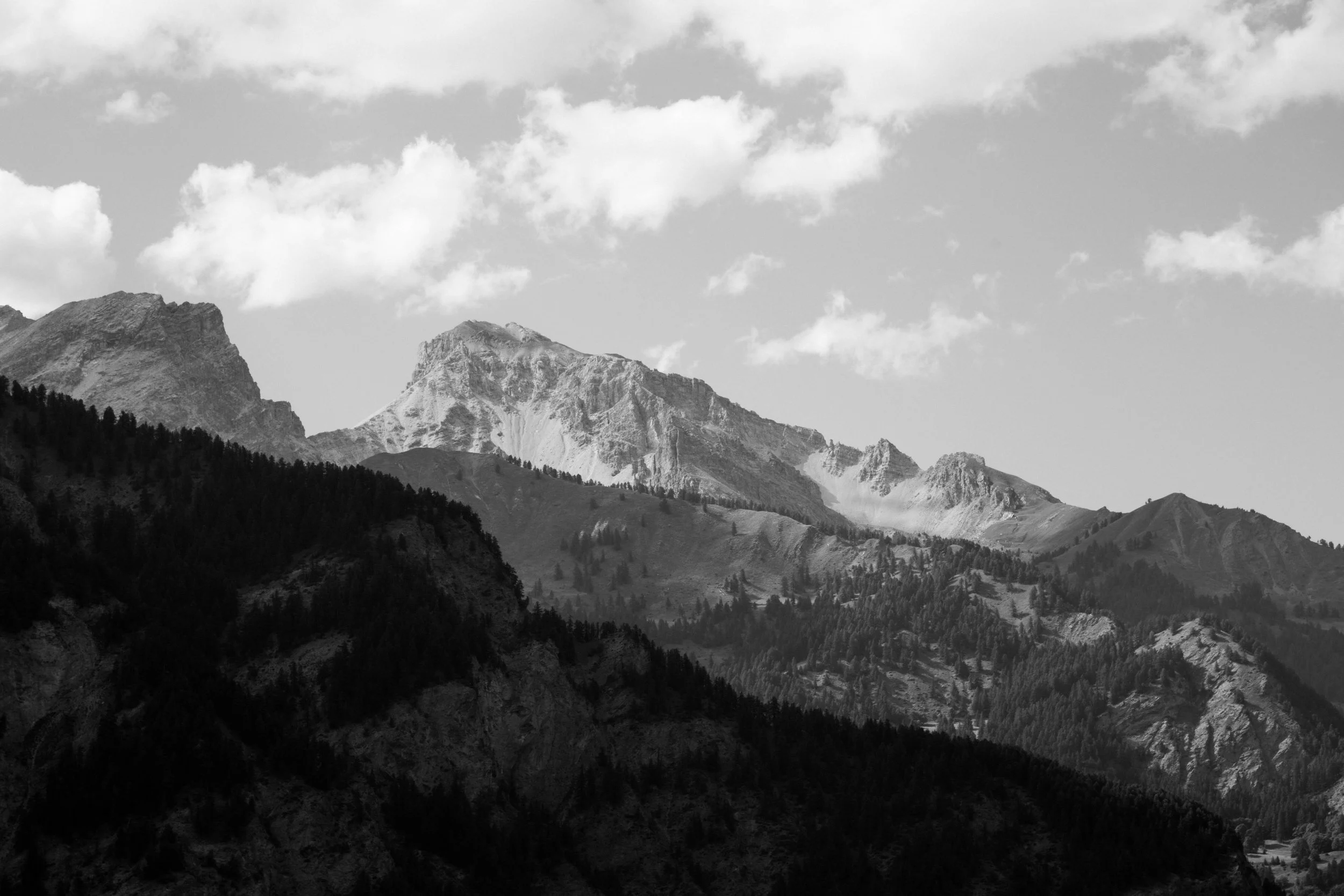 DPDS_FOR WEBSITE_BW-06.jpg