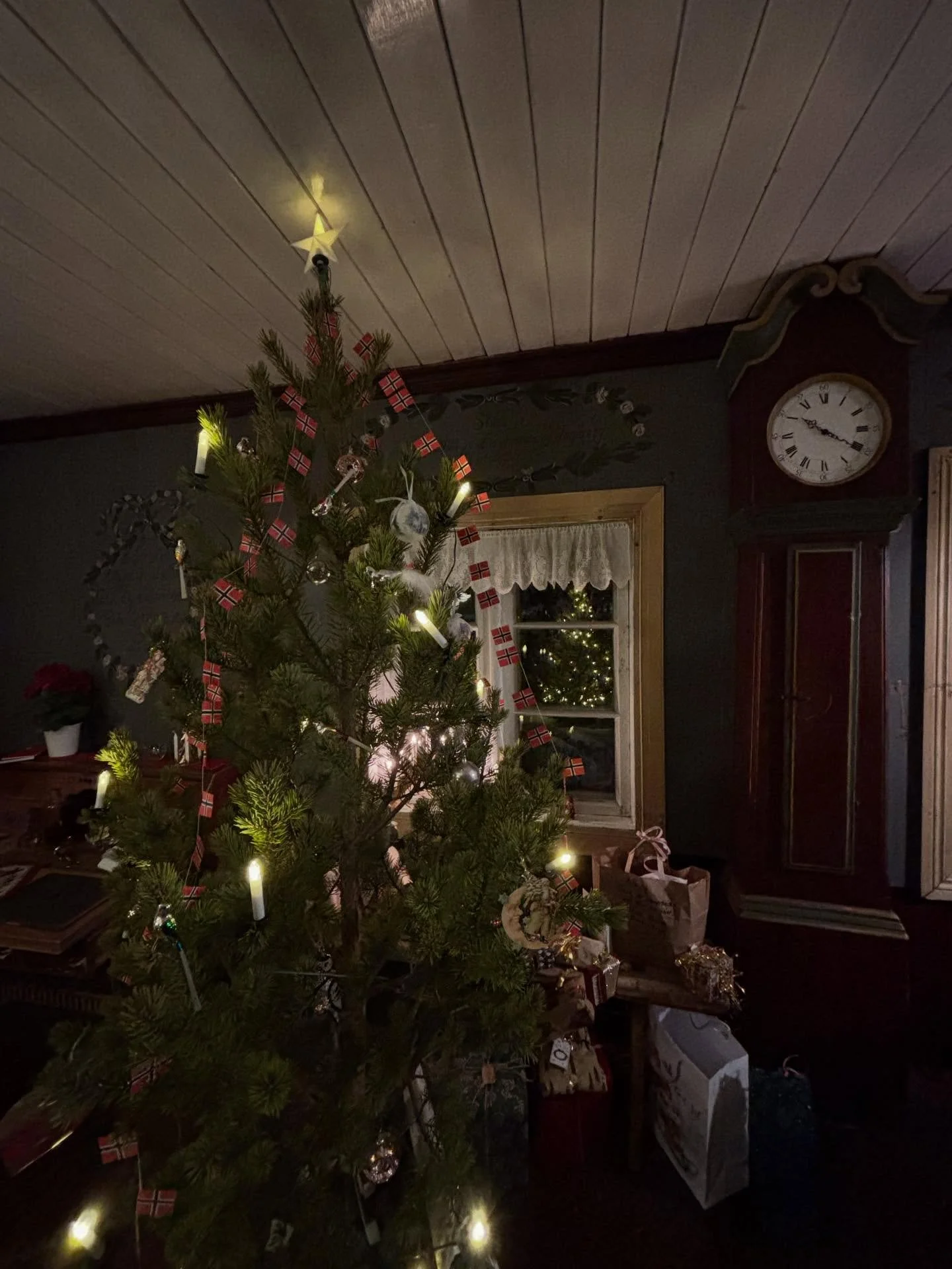 23. desember 🌟
J&aring;letre?

Juletreet kom til landet via Danmark p&aring; 1820-tallet. Hos borgerskapet ble det vanlig p&aring; midten av &aring;rhundret, og f&oslash;rst rundt &aring;rhundreskiftet ble juletreet vanlig hos det brede lag av befol