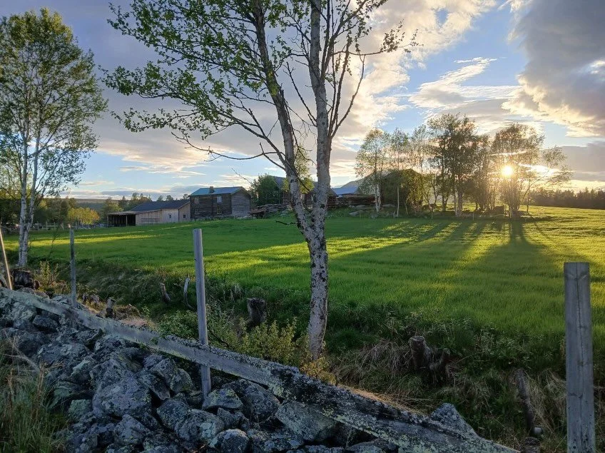 Lemminga i &aring;r ble veldig fin og intensiv! I l&oslash;pet av en periode p&aring; tre uker kom det 195 levende f&oslash;dte lam, og n&aring; er alle dyr ute. 🐑

I denne perioden fikk vi ogs&aring; testen kunstnerresidensen v&aring;r da bandet KV