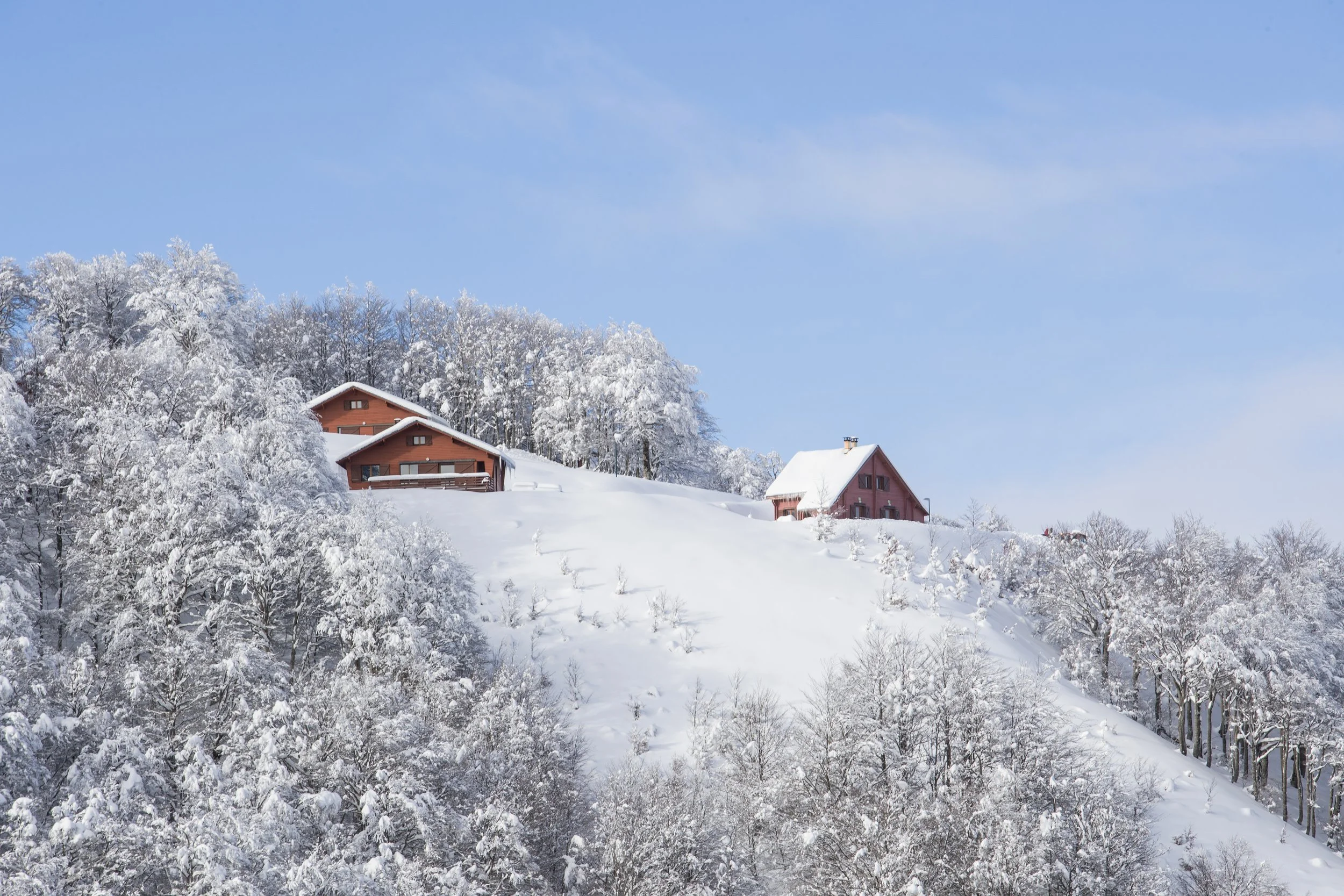 Maisons en bois sur une colline enneigée entourée d'arbres recouverts de neige, sous un ciel bleu.