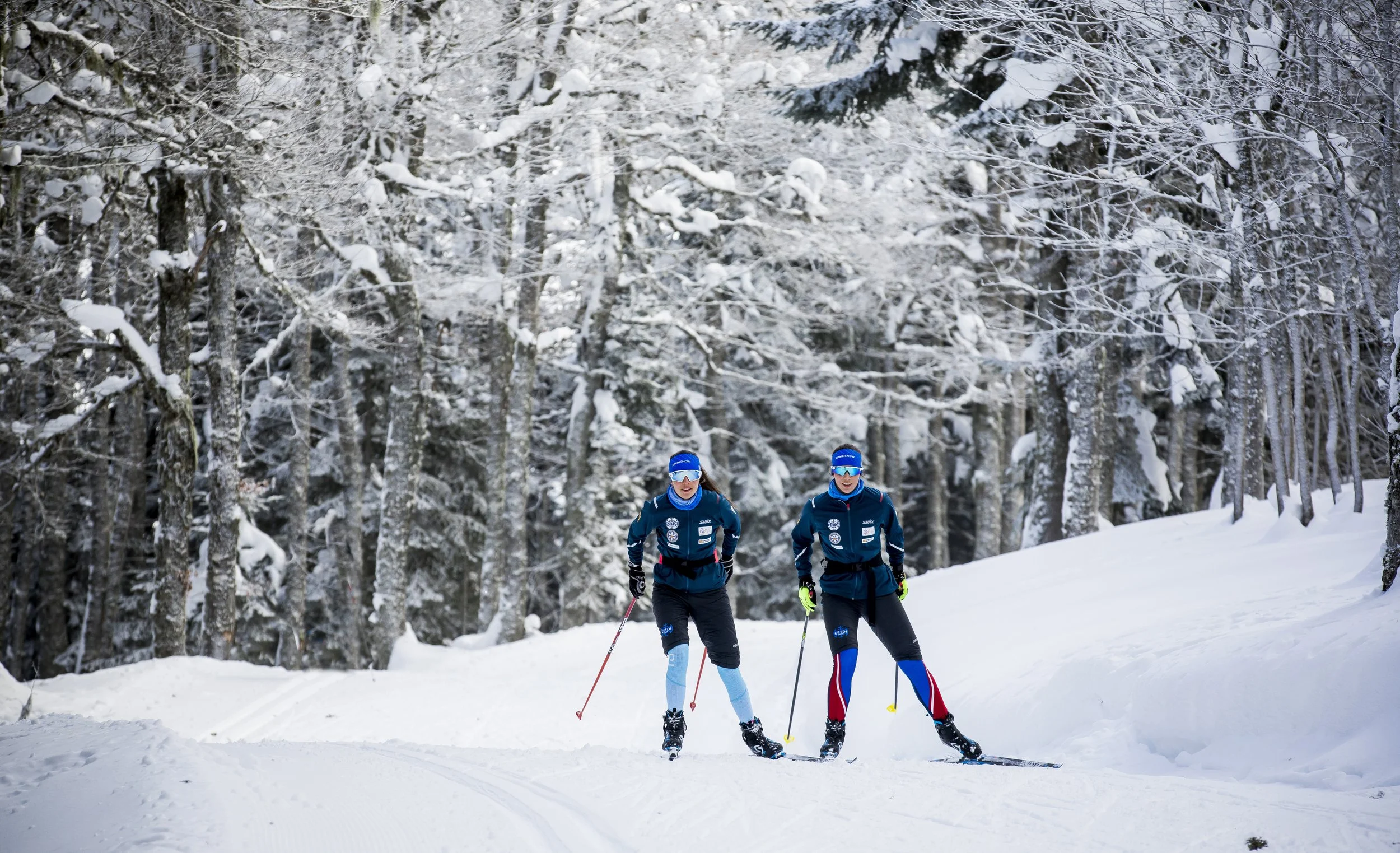 Deux skieurs en tenue de course dans une forêt enneigée.