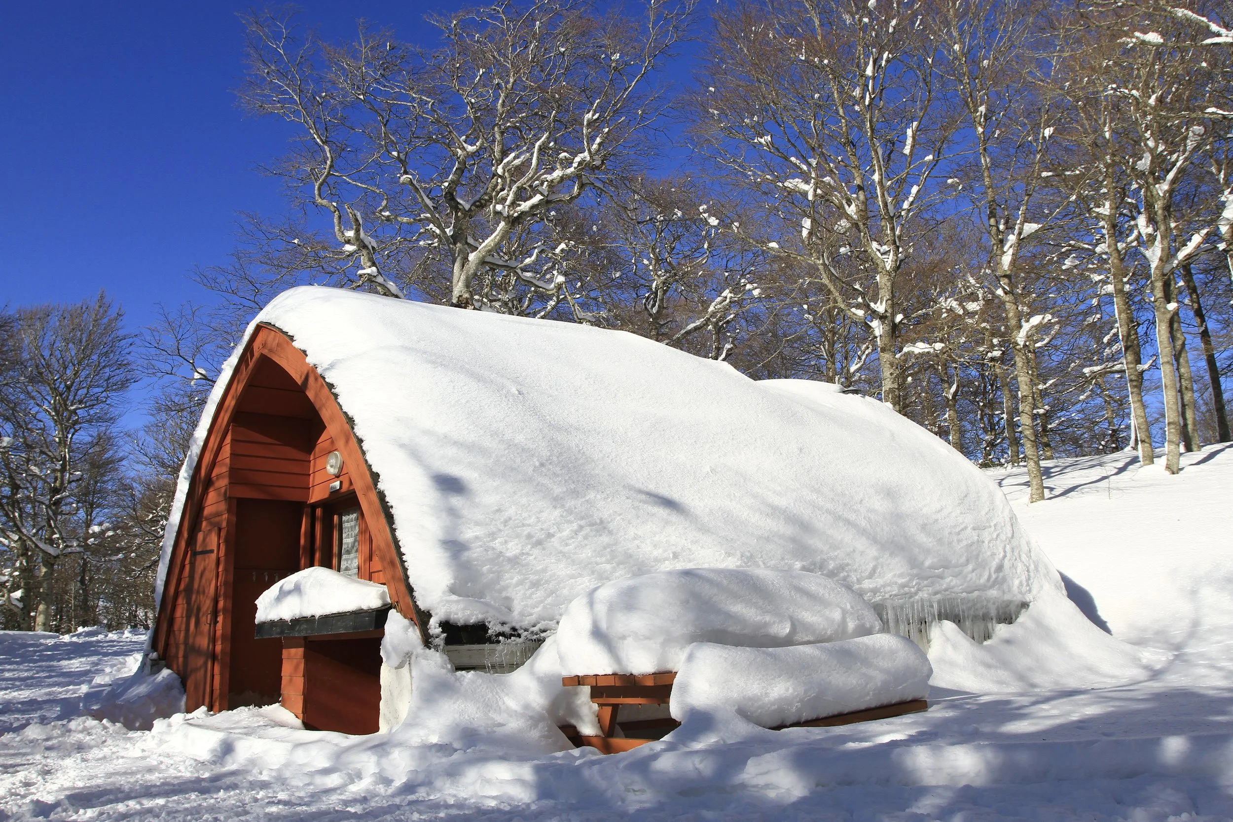Cabane en bois recouverte de neige dans un paysage d'hiver avec des arbres nus et un ciel bleu.