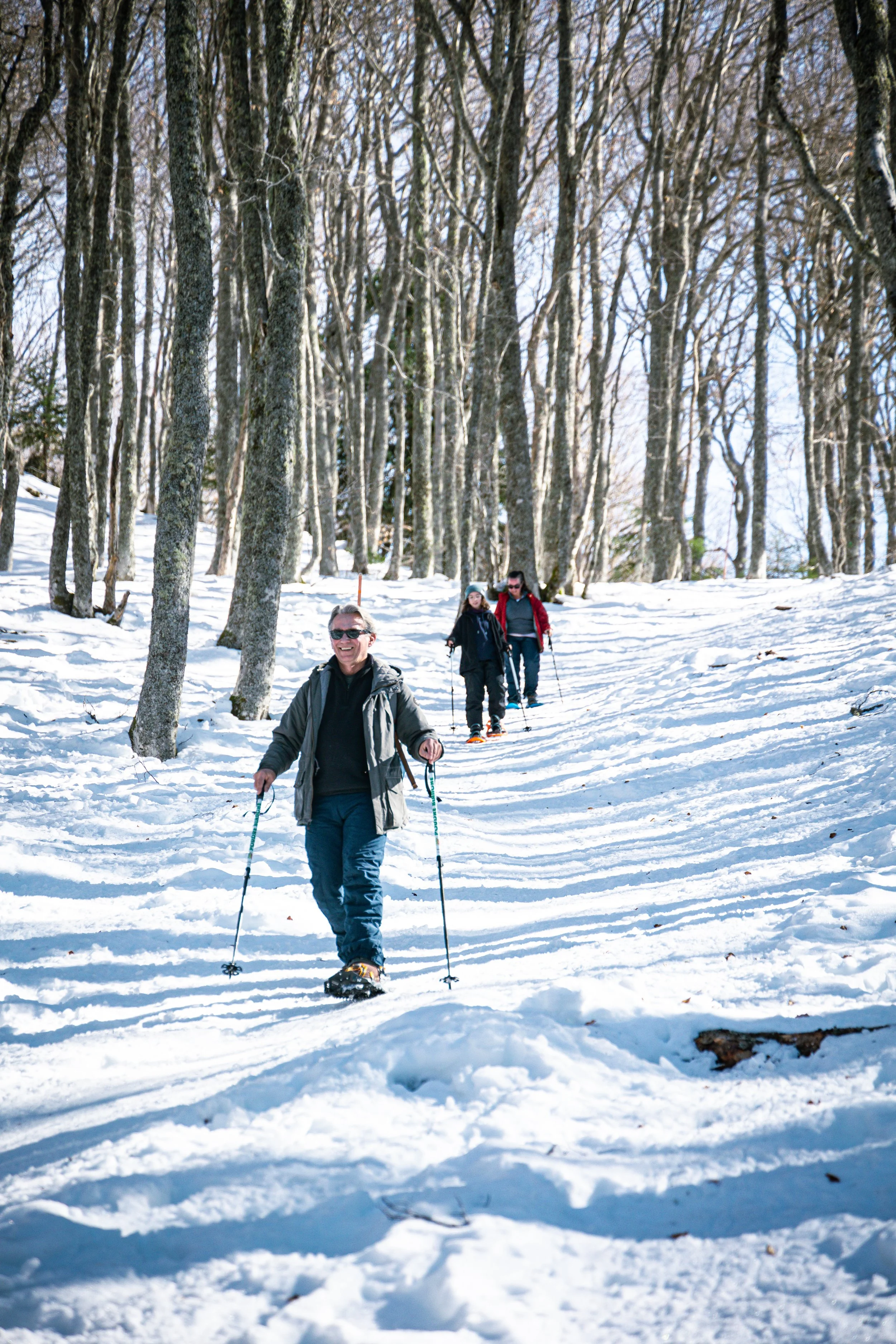 Groupe de personnes en randonnée en raquettes dans une forêt enneigée, sous un ciel clair.