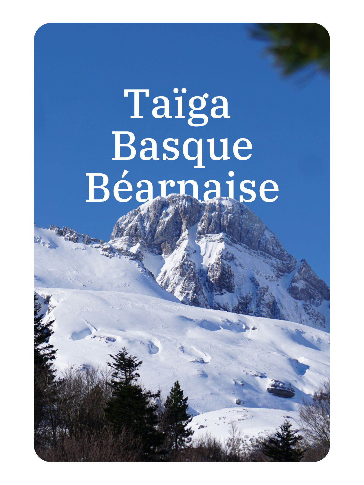 Montagne enneigée dans la région Basque, Pays-Basque, avec un ciel bleu clair et quelques arbres au premier plan.