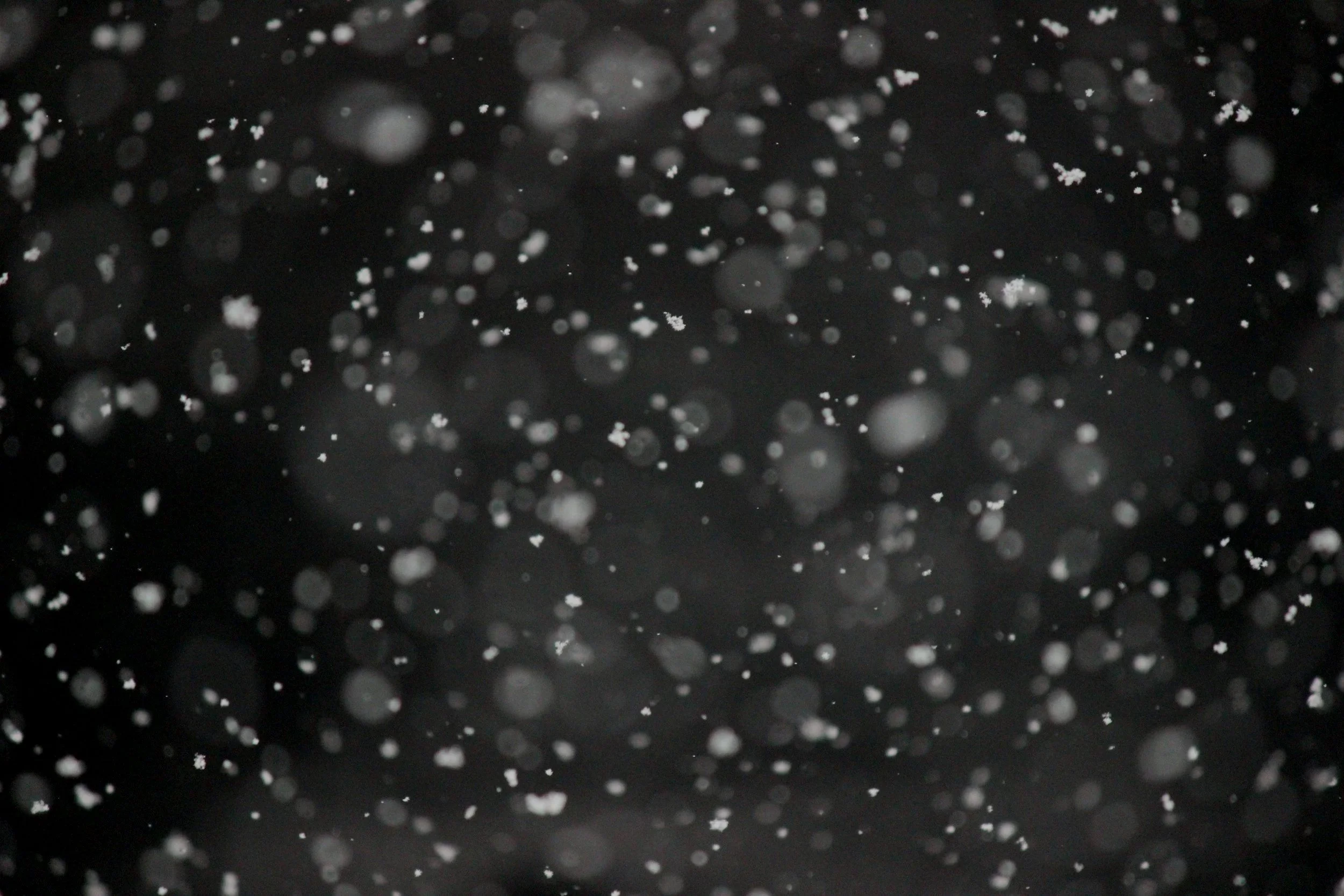 Gouttes d'eau ou de poussière suspendues dans l'air contre un fond noir.