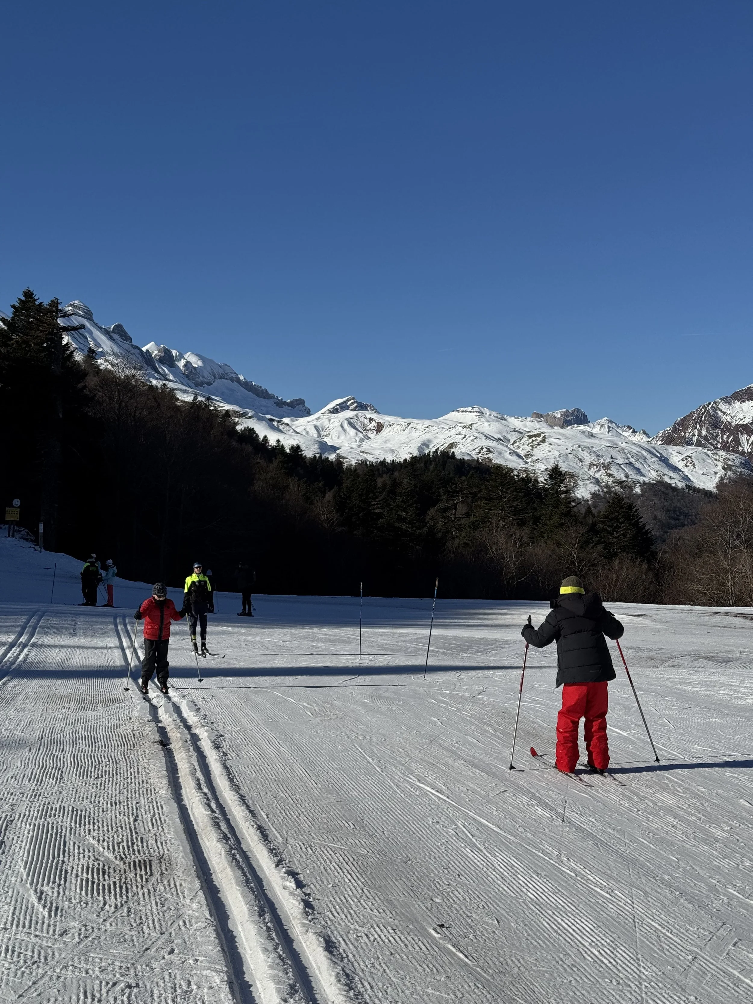 Des enfants et adultes faisant du ski sur une piste enneigée, avec des montagnes enneigées en arrière-plan et un ciel bleu clair.