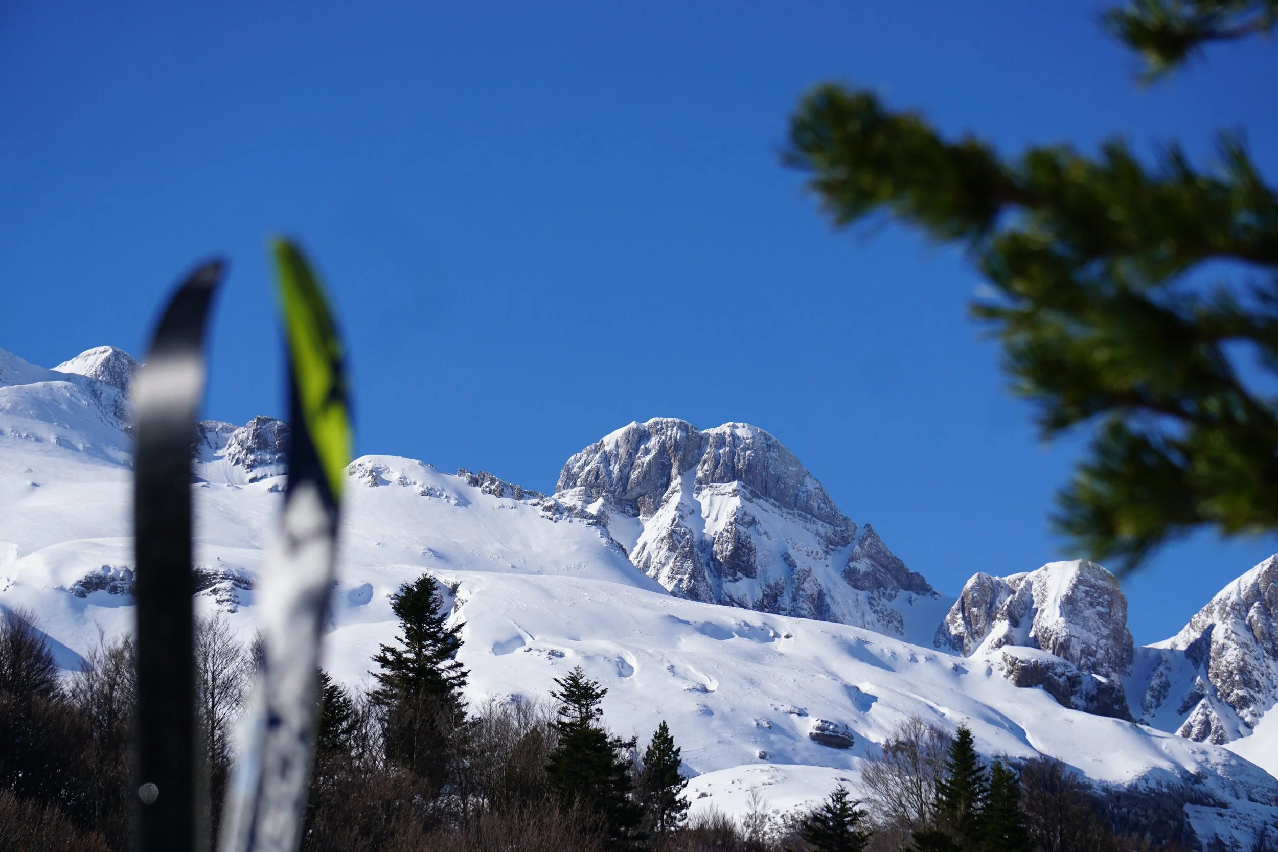 Pointe enneigée au sommet d'une montagne avec un ciel bleu clair, des arbres verts en premier plan et des skis flous au premier plan.
