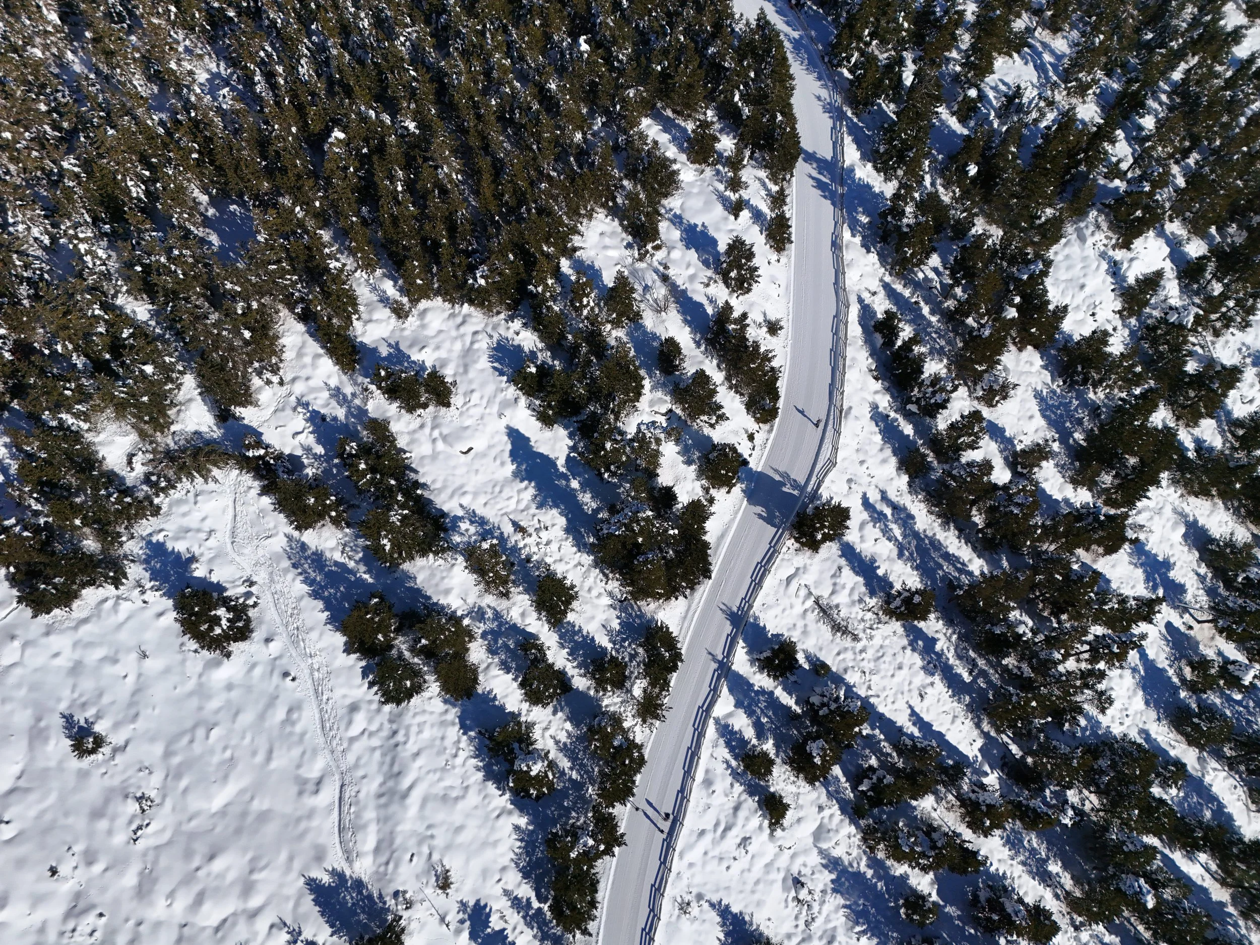 Vue aérienne d'une route sinueuse dans une forêt enneigée, avec des arbres de conifères couverts de neige et des traces dans la neige du côté gauche.