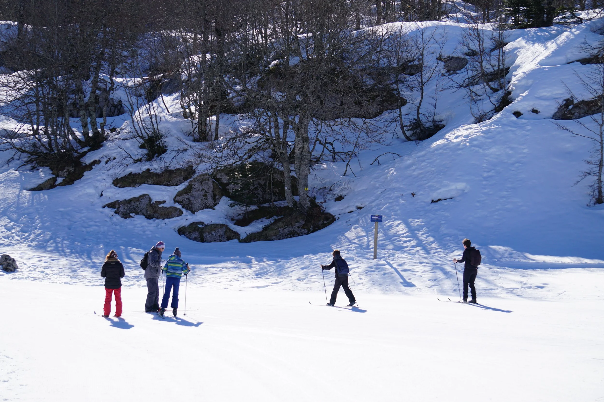 Groupe de cinq personnes faisant de la luge ou du ski sur une montagne enneigée, avec des arbres nus et des rochers en arrière-plan.