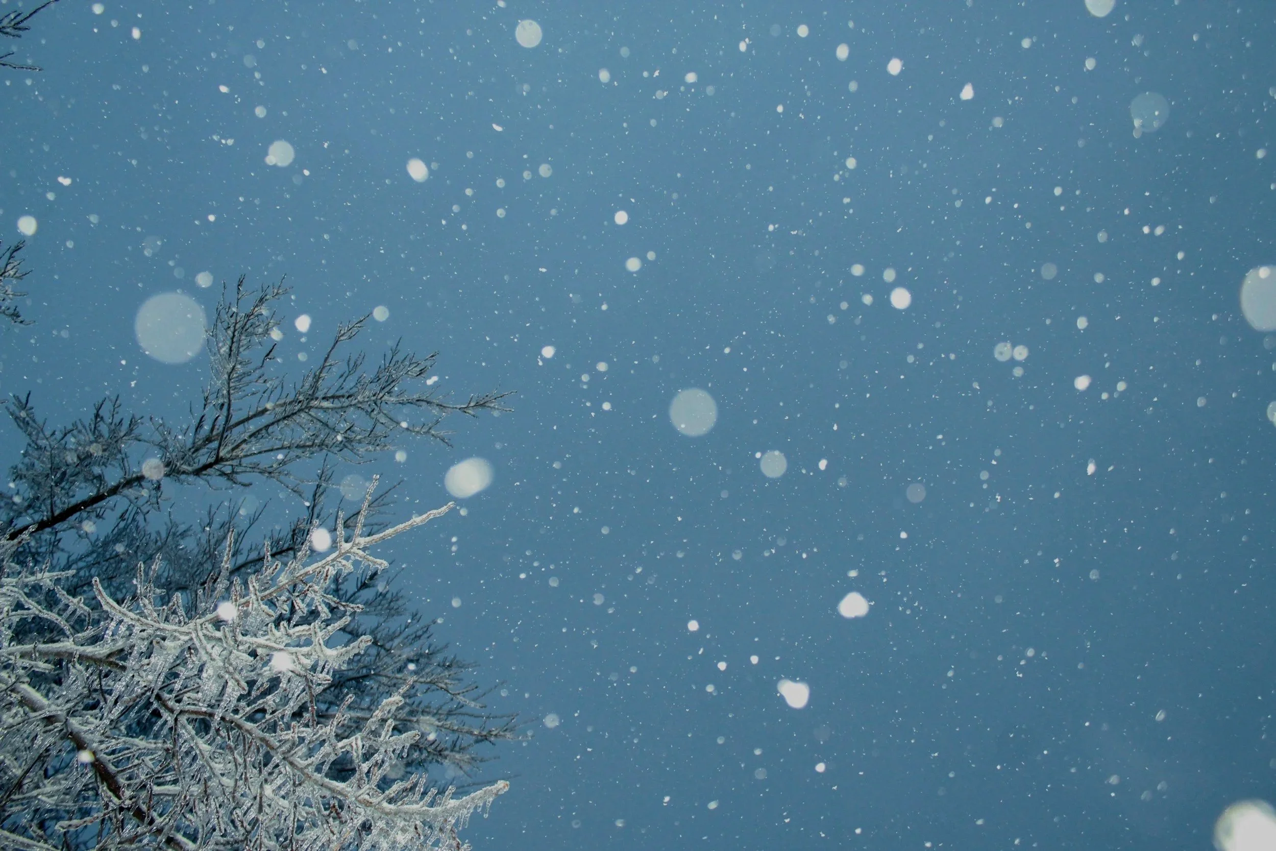 Neige tombant dans un ciel bleu avec un arbre recouvert de neige à gauche