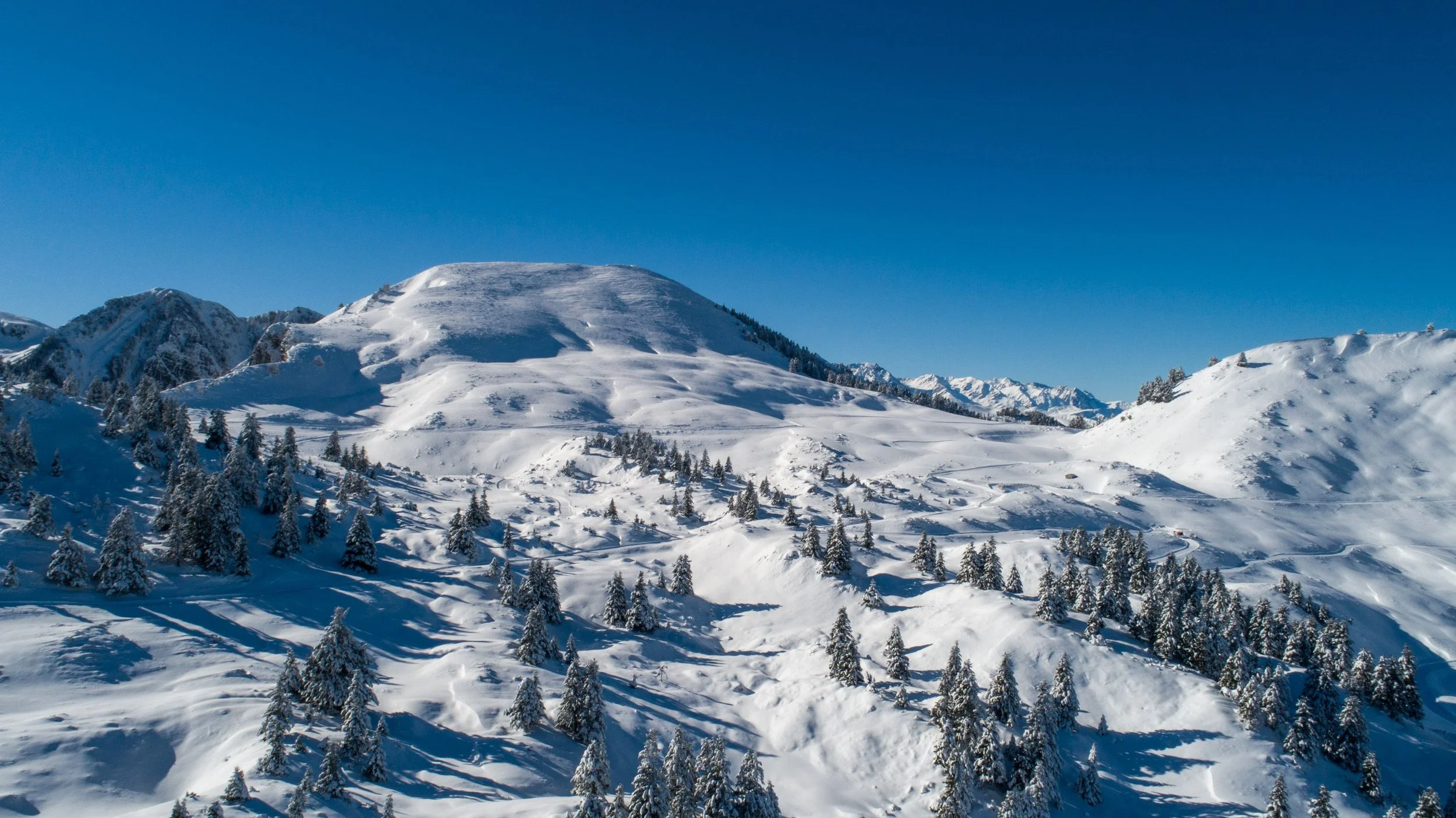 Montagnes enneigées avec des arbres couverts de neige sous un ciel bleu clair.