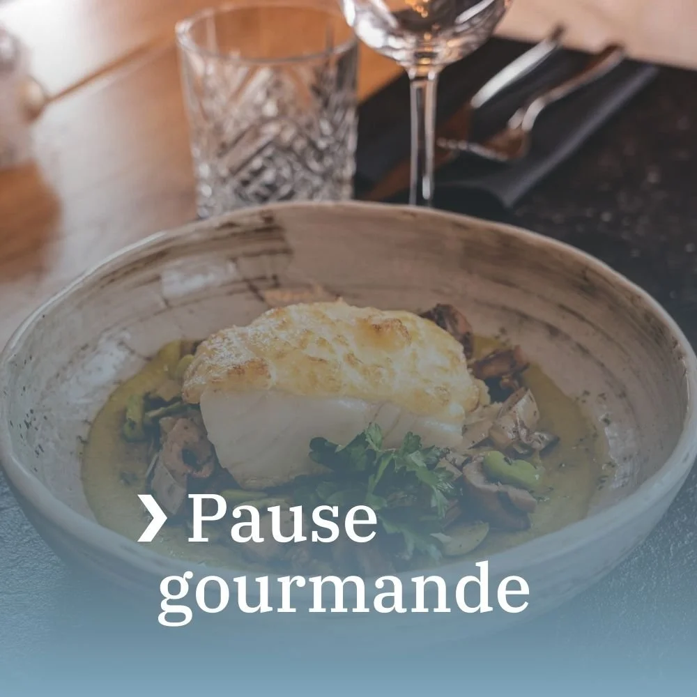 Galerie activités pyrénées secrètes.jpg