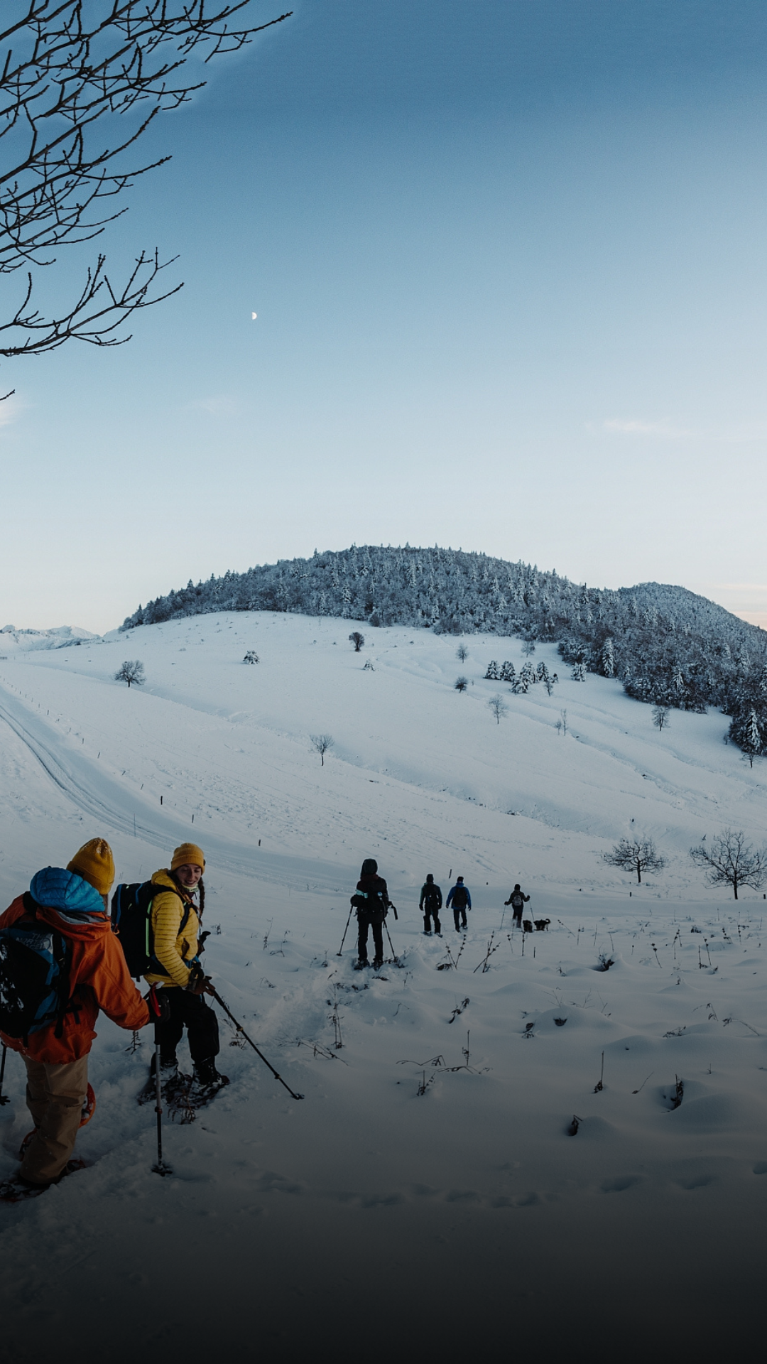 Groupe de personnes faisant de la randonnée en raquettes dans un paysage enneigé avec une montagne en arrière-plan, ciel clair et lune visible.