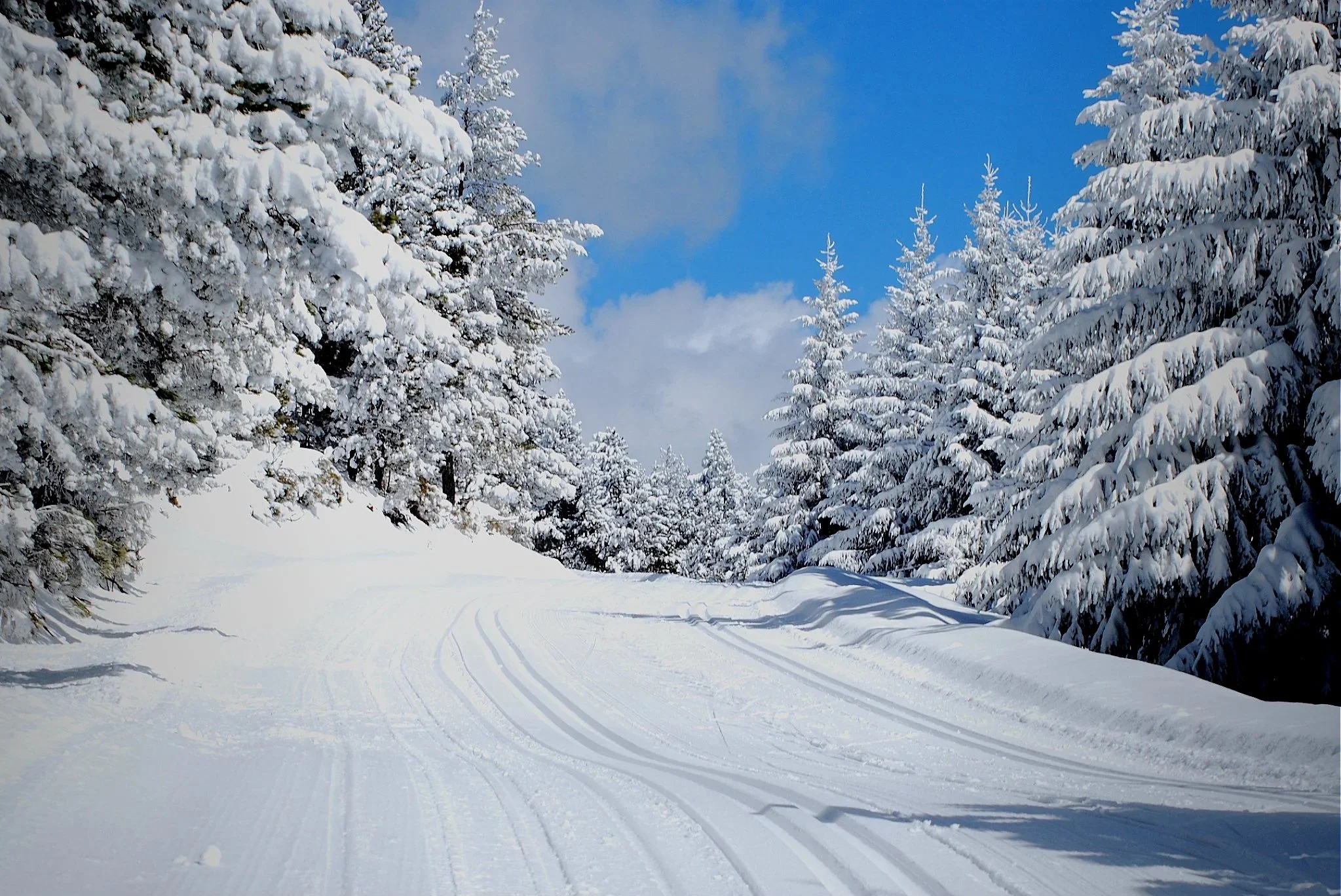 Une route enneigée entourée d'arbres couverts de neige, avec un ciel bleu et quelques nuages.