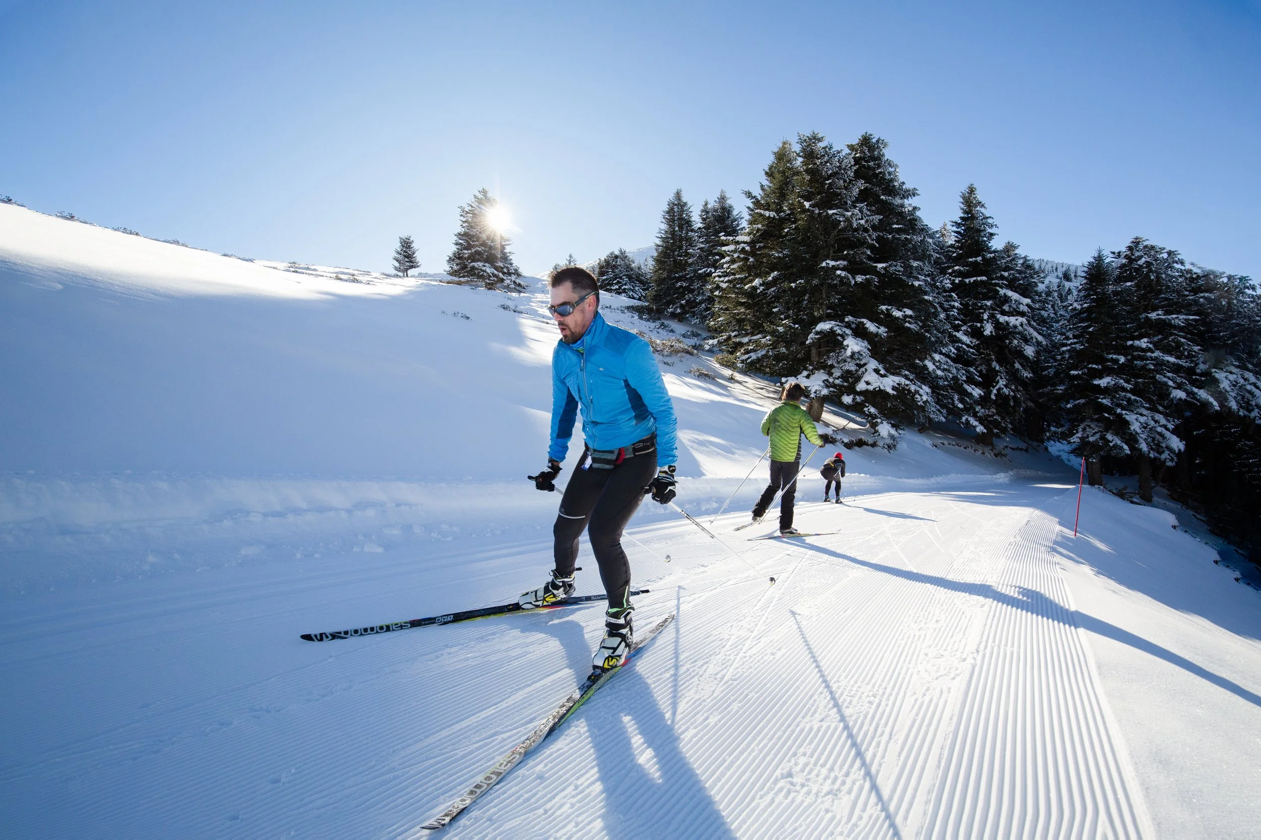 Groupe de personnes faisant du ski en montagne ensoleillée, avec des arbres enneigés et un ciel bleu.