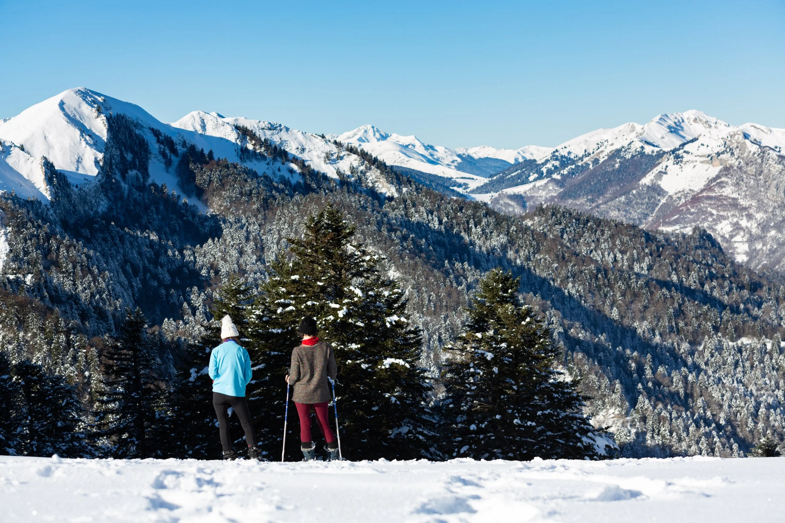 Deux personnes pratiquant le ski dans un paysage enneigé avec des montagnes et des arbres couverts de neige en arrière-plan.