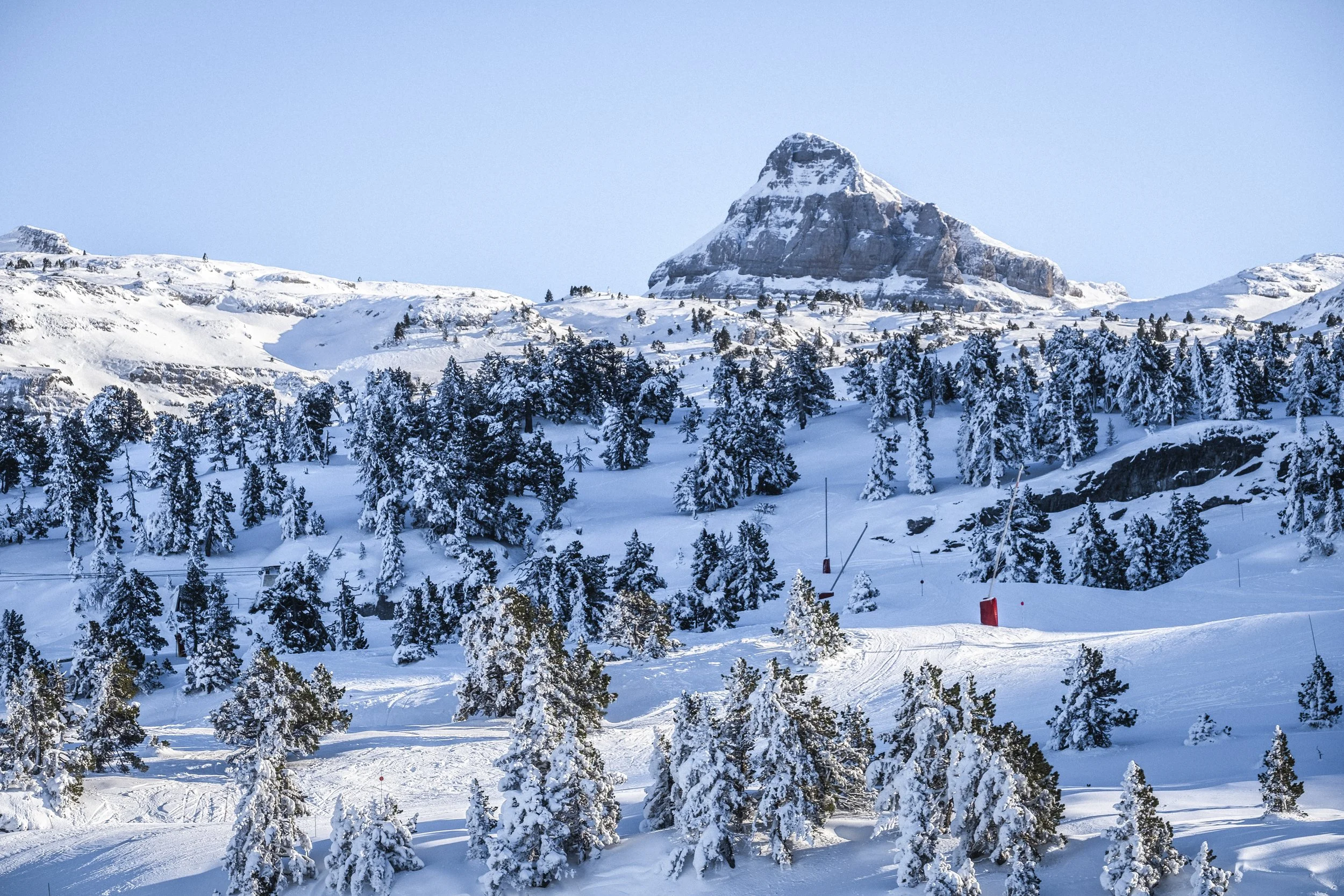Montagne enneigée avec des arbres couverts de neige et un sommet rocheux au loin, ciel bleu clair.