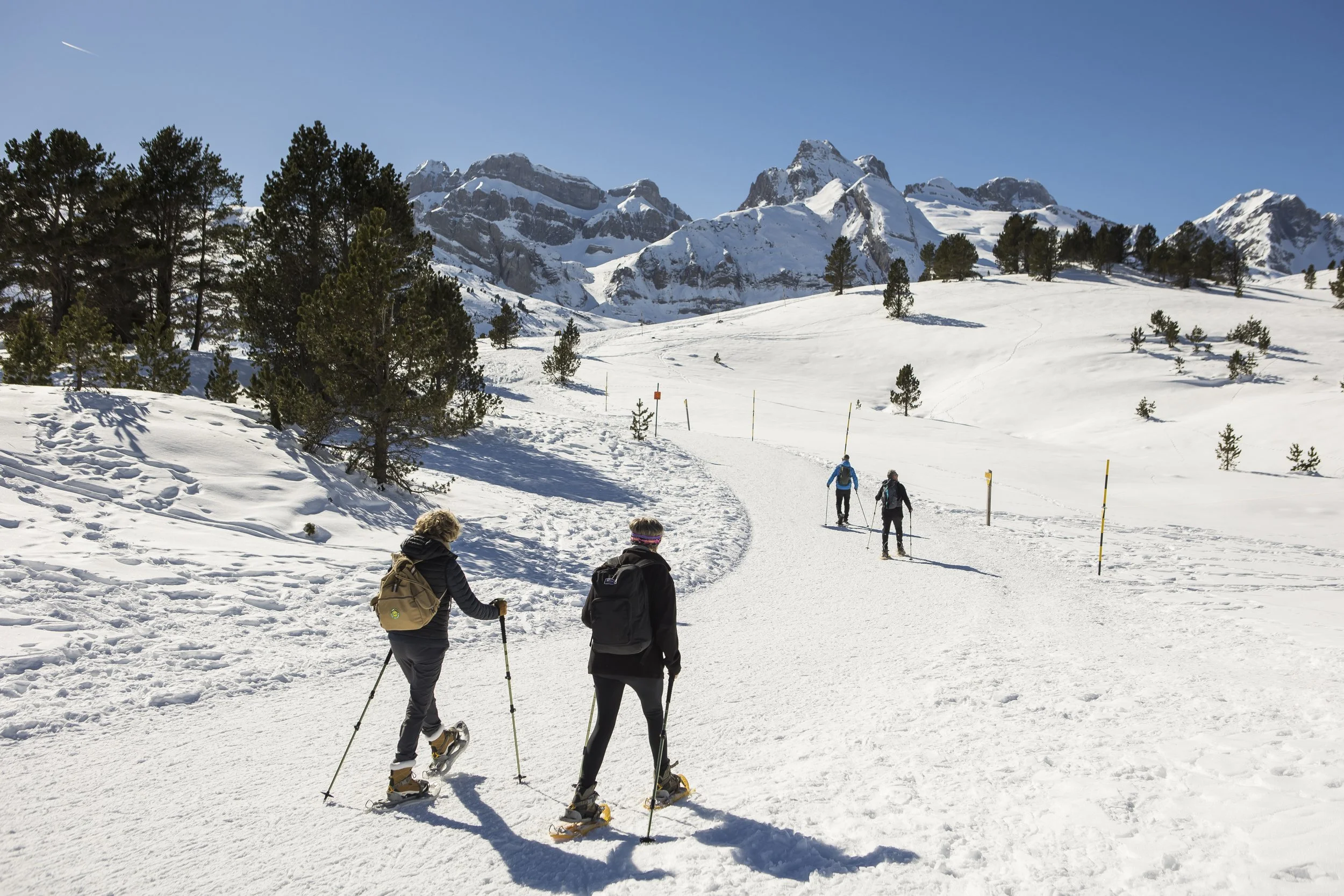 Groupe de quatre personnes faisant de la randonnée en raquettes dans un paysage enneigé avec des montagnes en arrière-plan et des arbres dispersés.