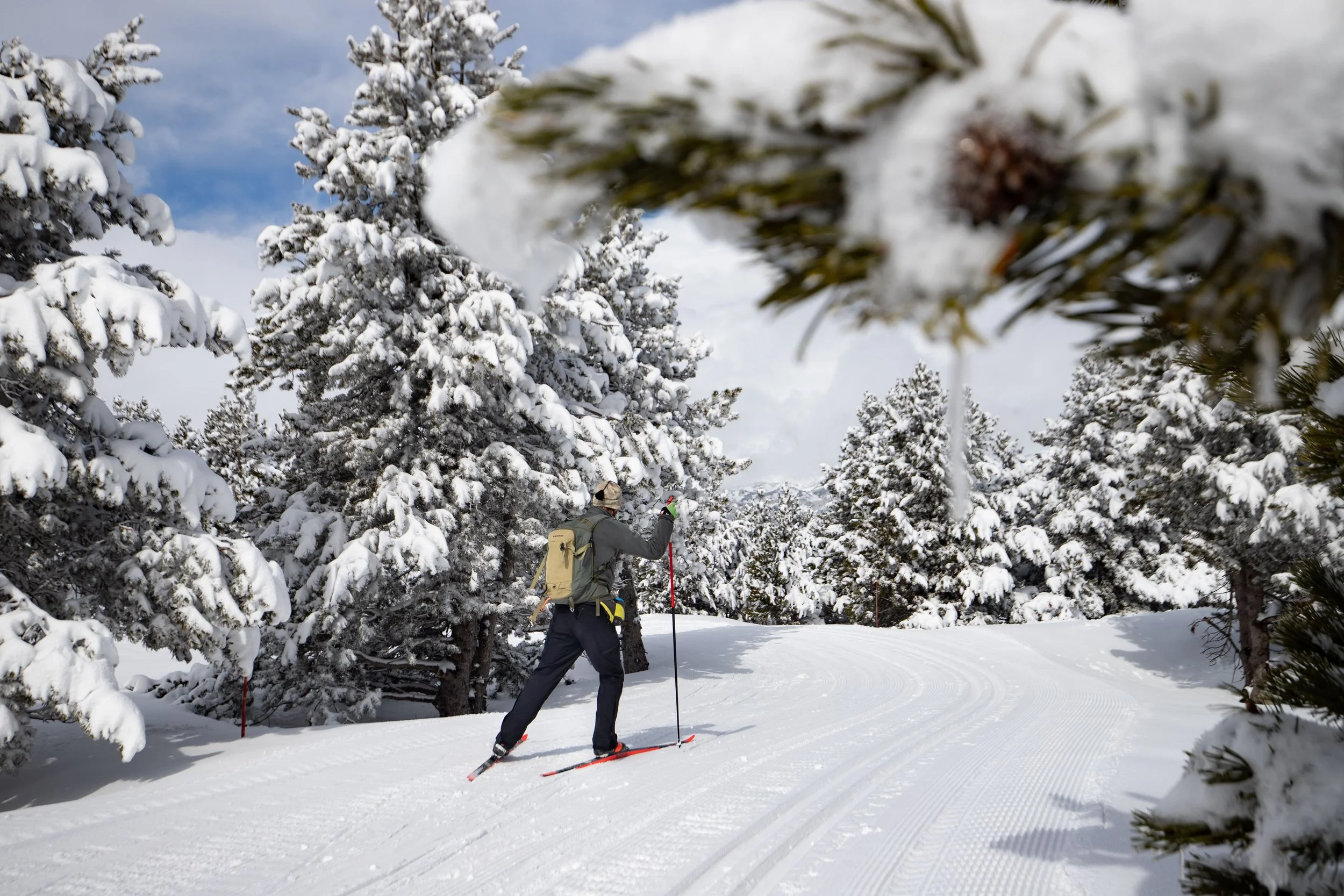 Une personne faisant du ski dans une forêt enneigée avec des arbres recouverts de neige, sous un ciel partiellement nuageux.