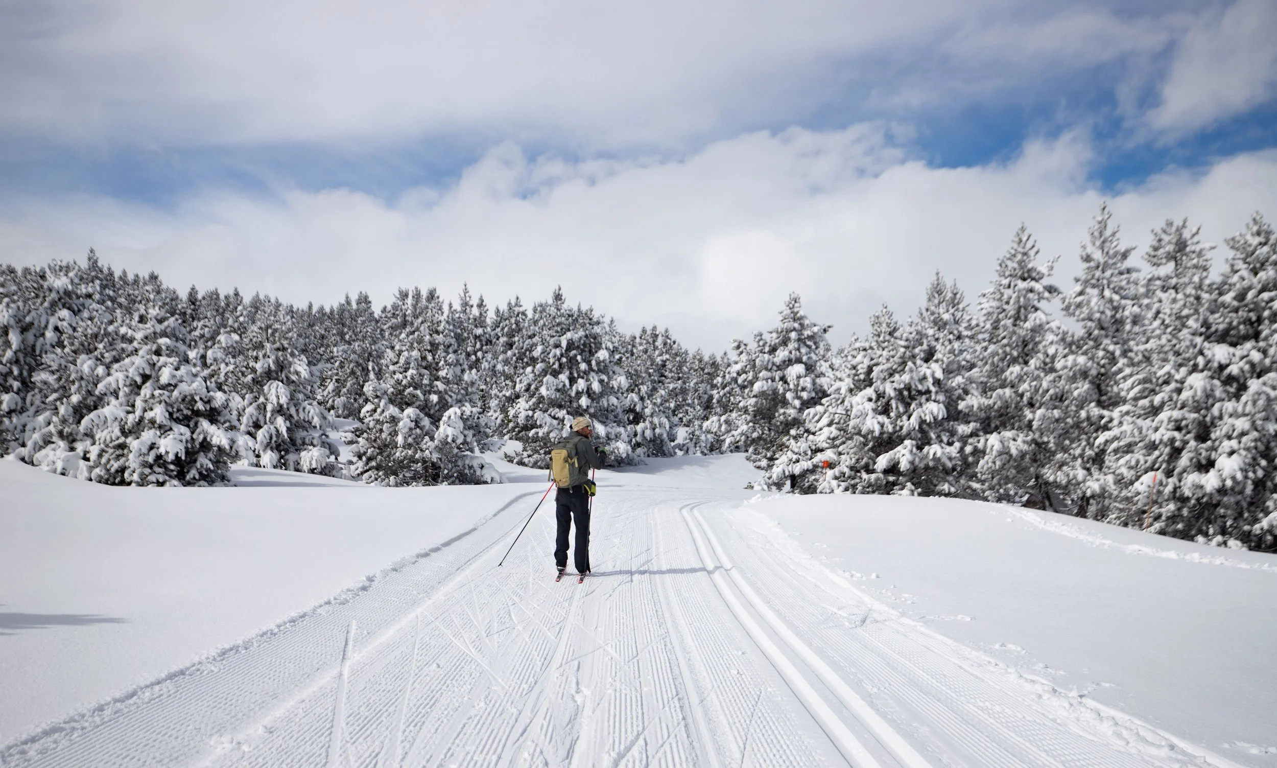 Personne faisant du ski nordique sur un sentier enneigé entouré d'arbres recouverts de neige, sous un ciel partiellement nuageux.