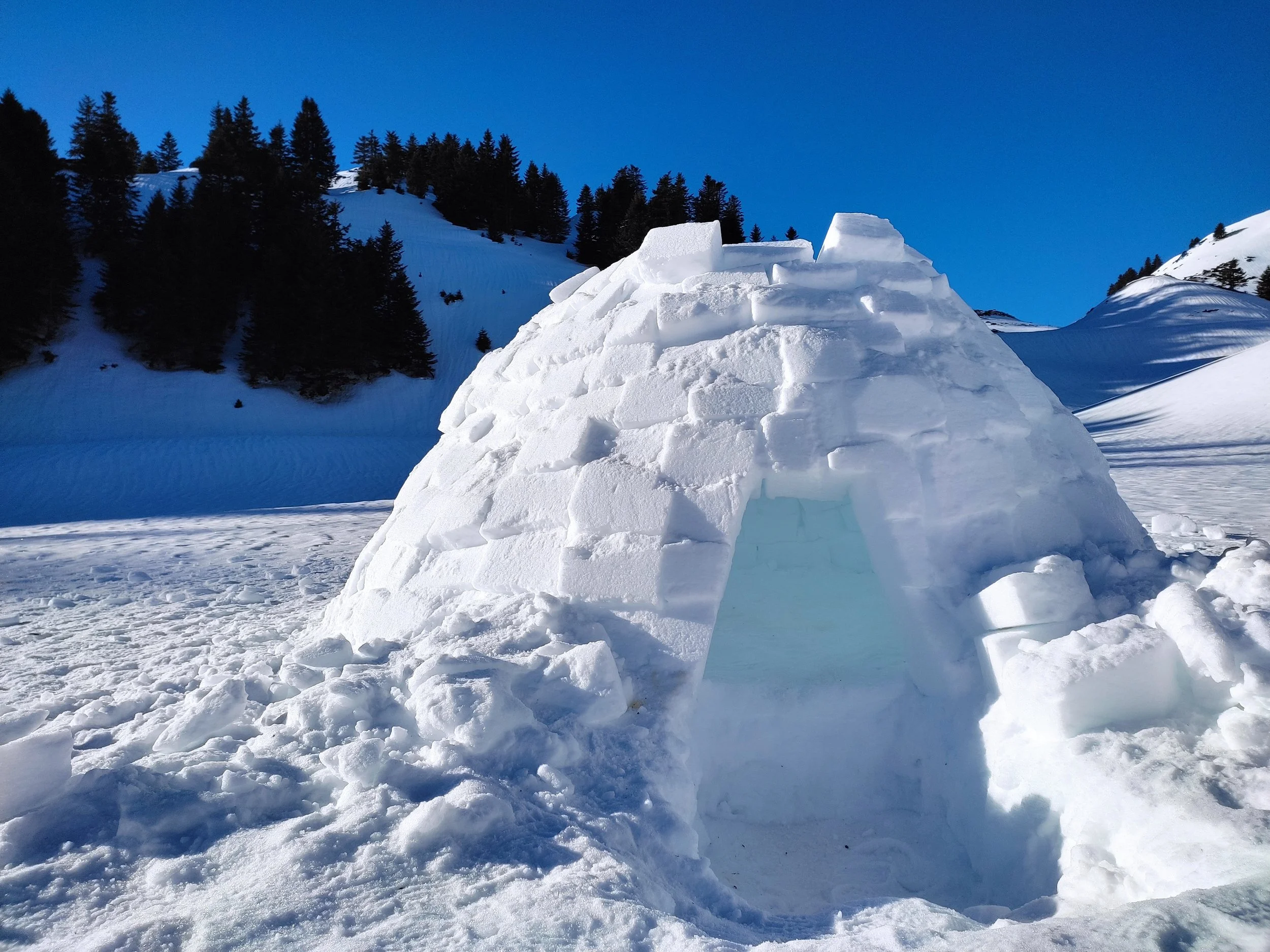 Igloo en neige dans un paysage enneigé, montagnes et sapins en arrière-plan, ciel bleu clair.