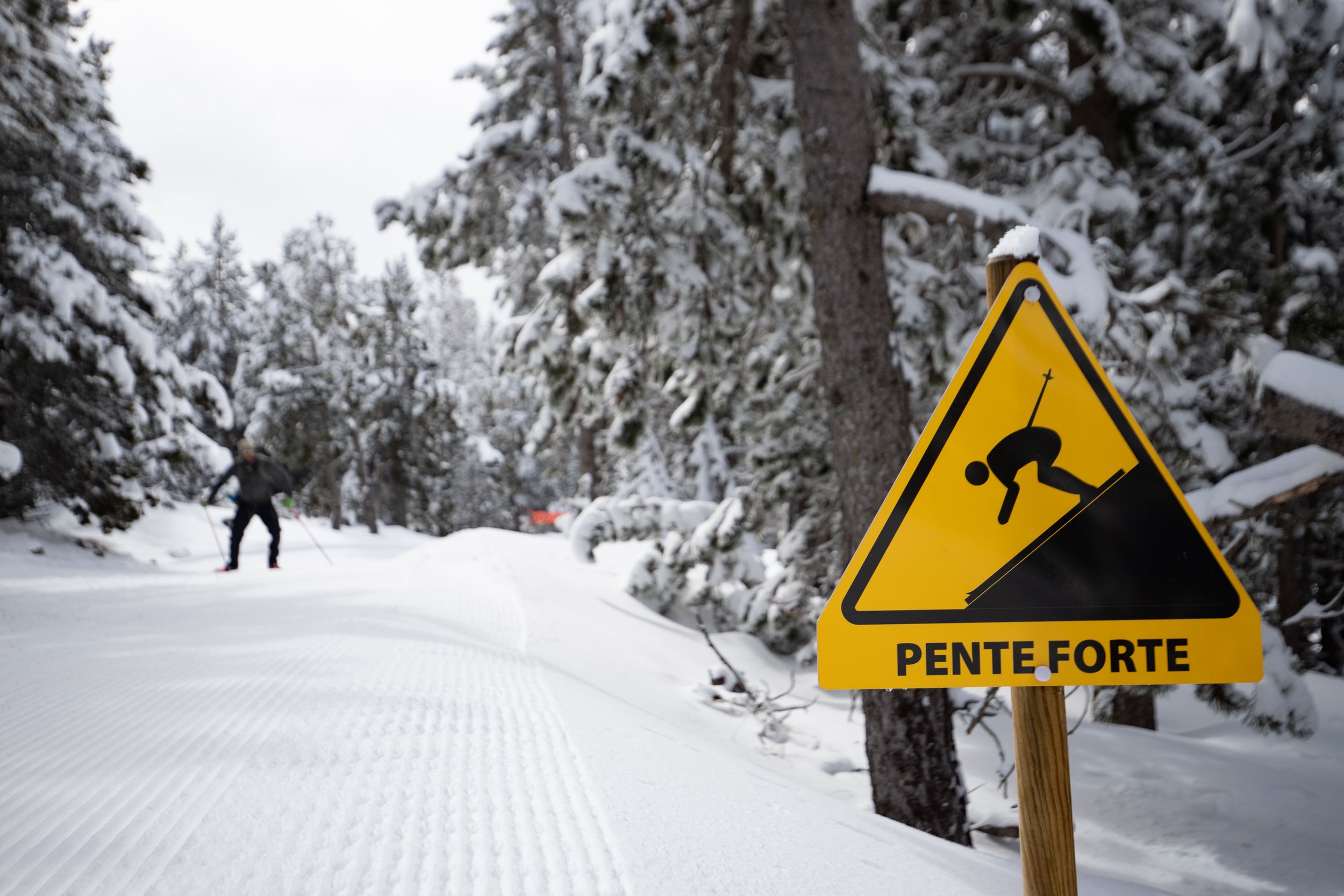 Panneau de signalisation jaune indiquant une forte pente, dans une forêt enneigée, avec un skieur visible au fond.