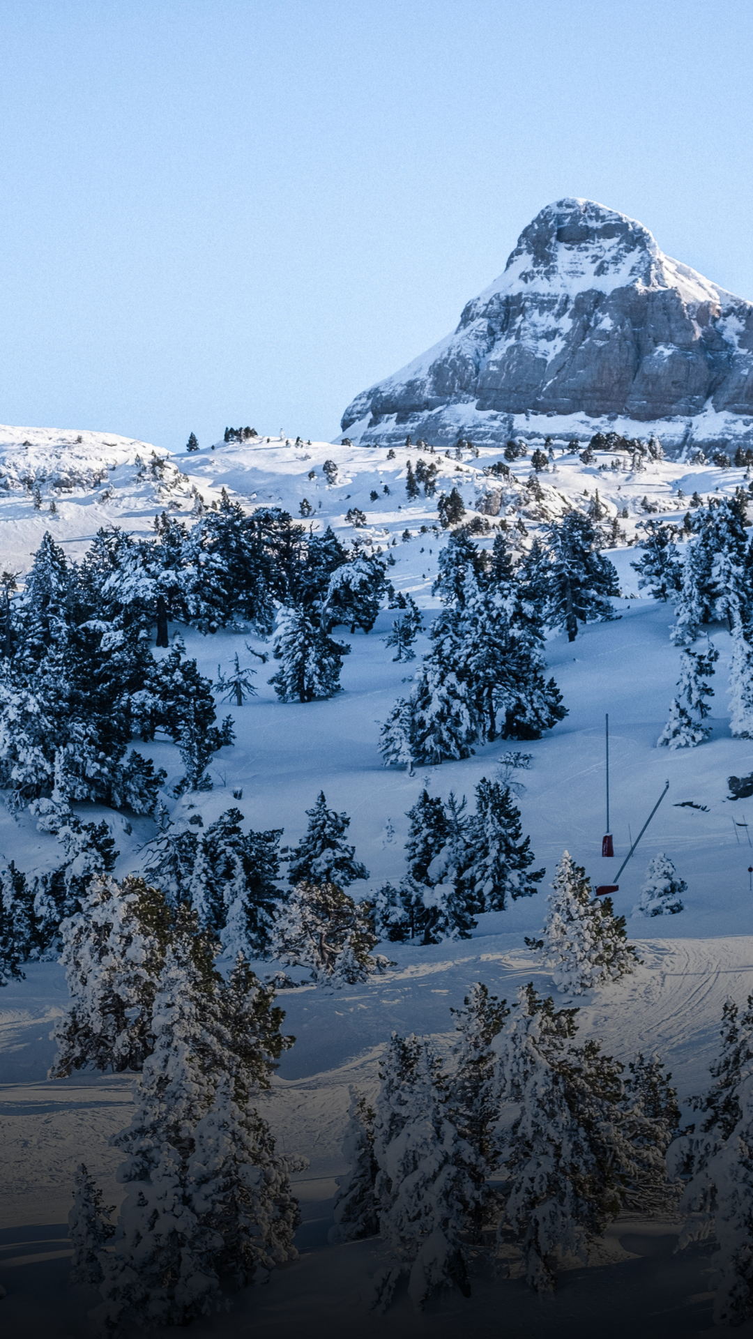 Une montagne enneigée avec des arbres couverts de neige au premier plan et un ciel clair.