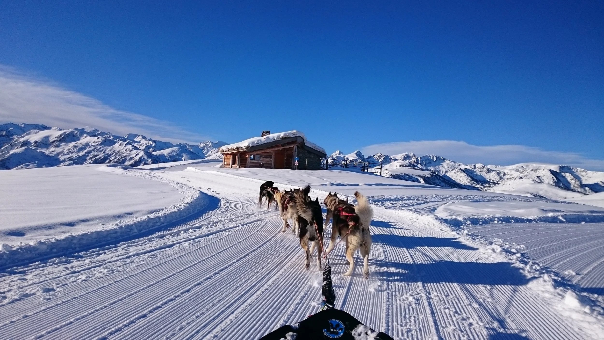 Traîneau à chiens traversant une forêt enneigée avec un chalet en arrière-plan, sur un paysage montagneux sous un ciel bleu.