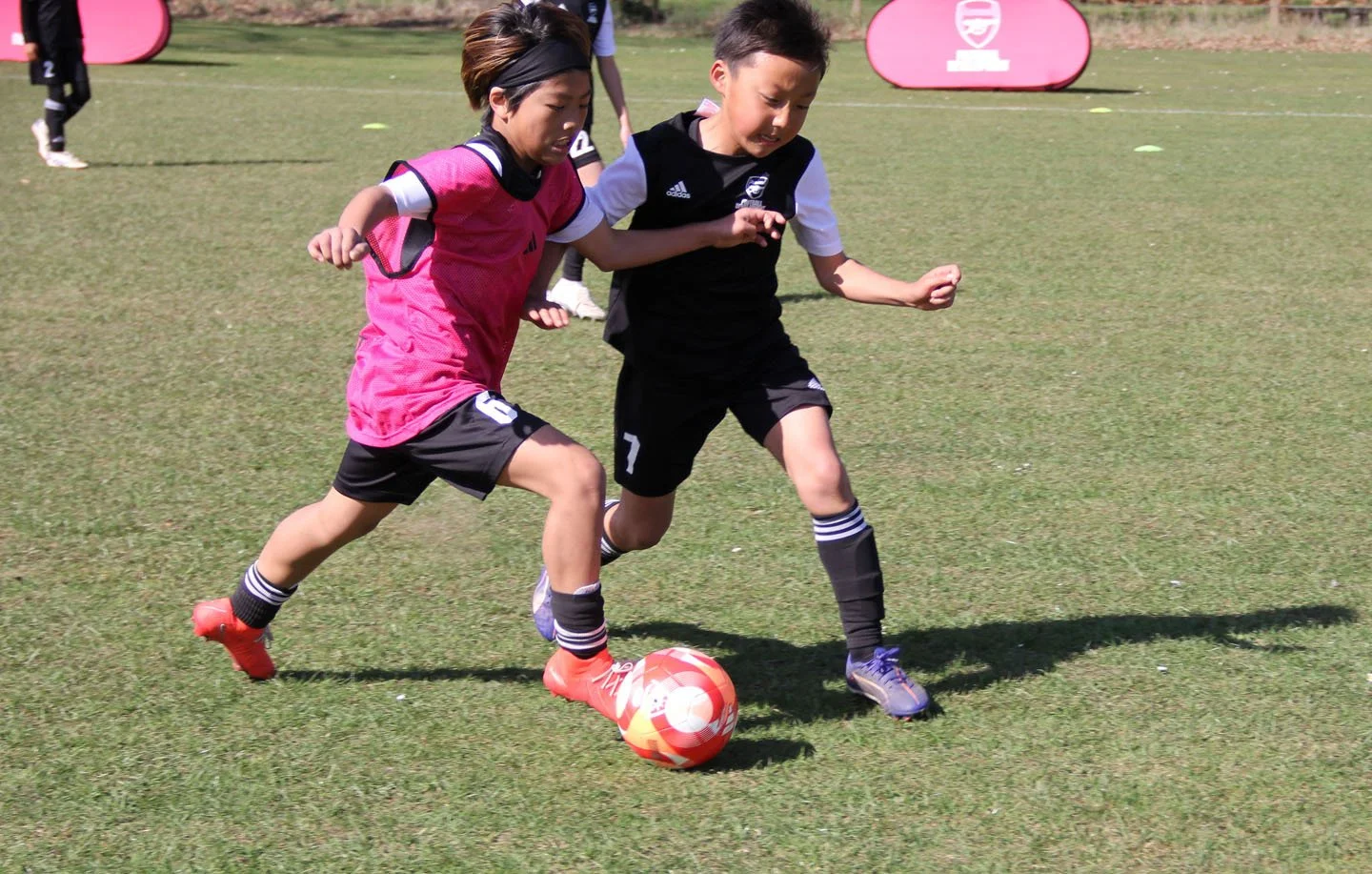 サッカーをしている子供たちのグループ。フィールドで紫とピンクのユニフォームを着た子供たちがサッカーボールを追いかけている。