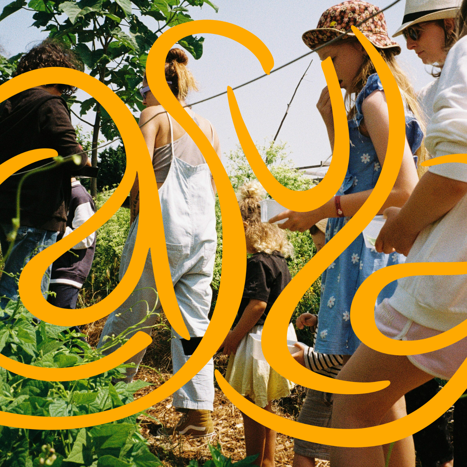A group of people, including children and adults, standing outdoors on a sunny day in a garden or farm area, with trees and plants around them. Some are wearing hats and casual clothes, and they appear to be observing or participating in an activity, possibly related to gardening or harvesting.