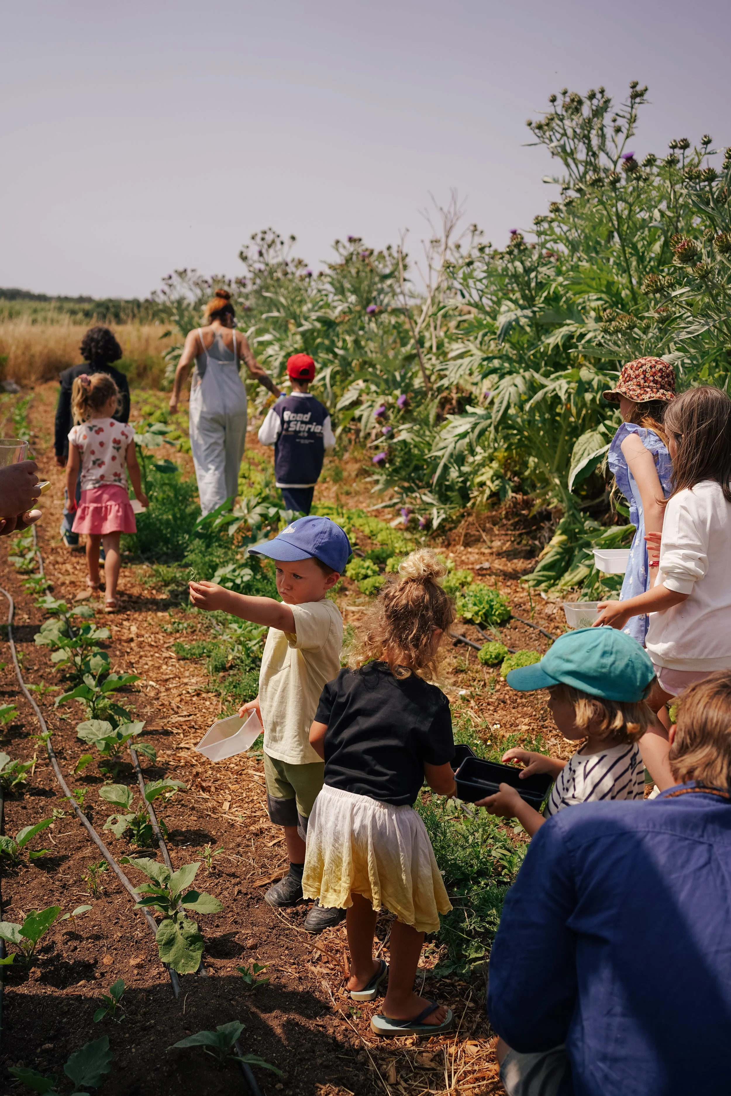 Children and adults walking and working in a garden with rows of green plants, some children holding small containers, on a sunny day.