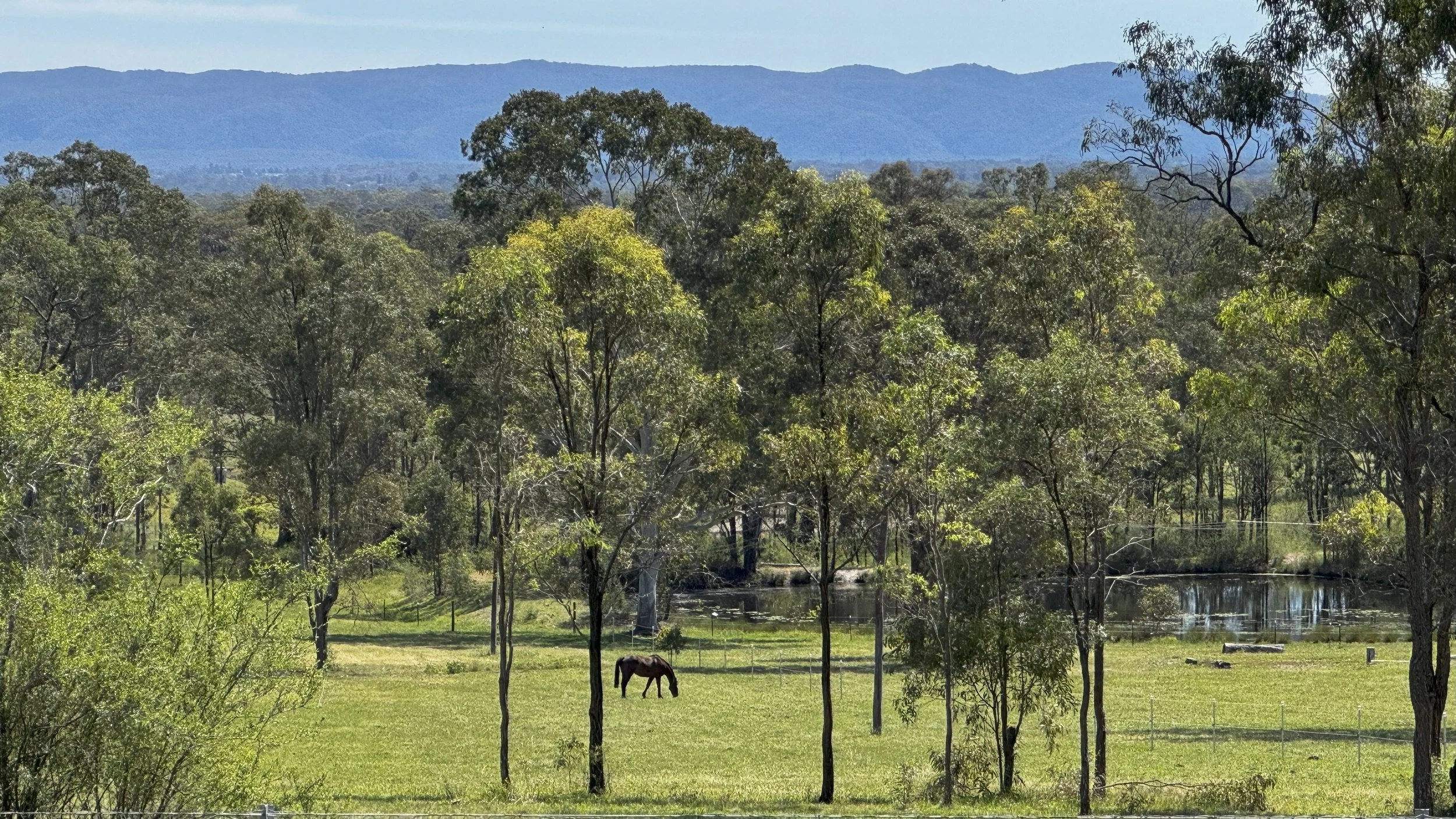 Hamish Blue Mountains.jpg