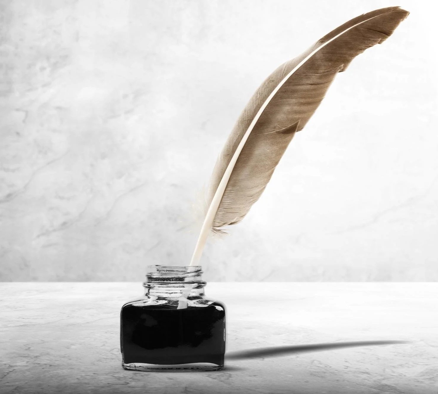 A close-up of a feather standing upright in a small glass ink bottle, with the feather's tip touching the liquid surface, casting a shadow on a flat surface.