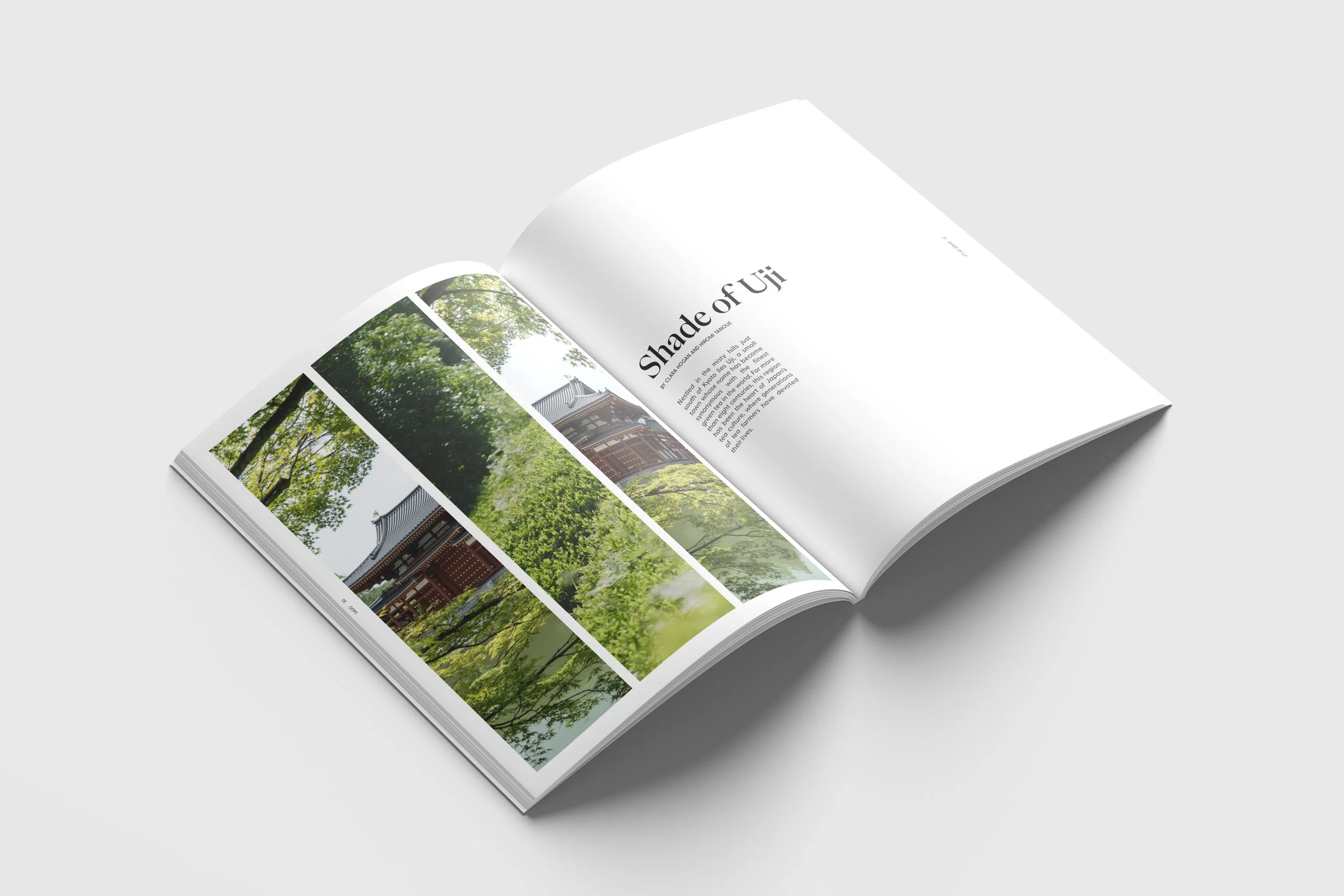 magazine_2.jpeg