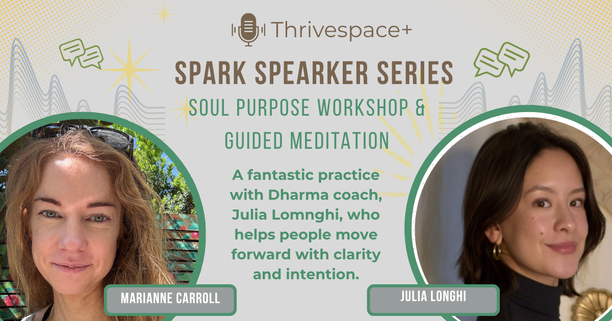 Spark Speaker Series: Soul Purpose Workshop & Guided Meditation